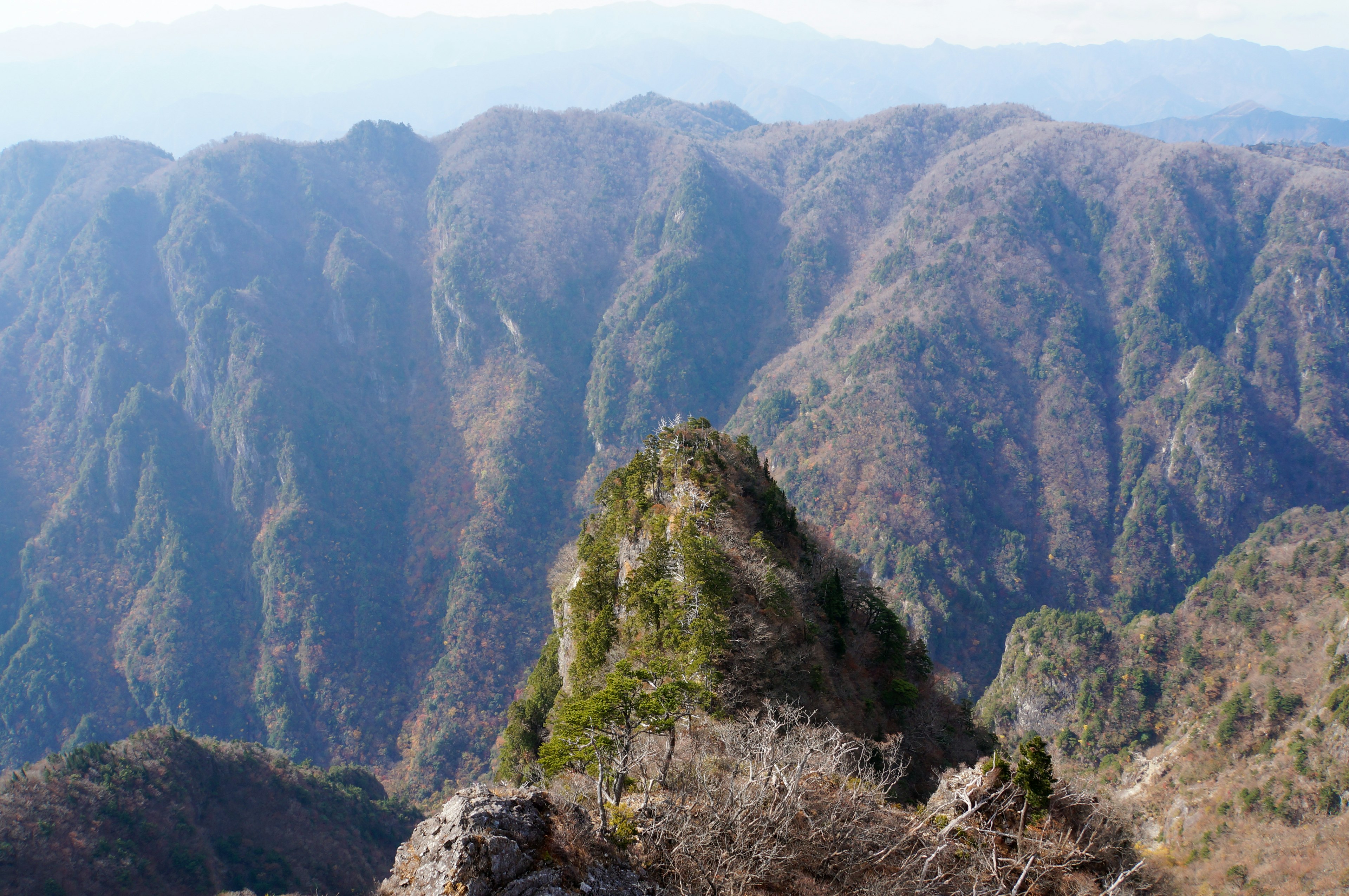 Vista panorámica de un paisaje montañoso con árboles verdes y rocas marrones a lo lejos