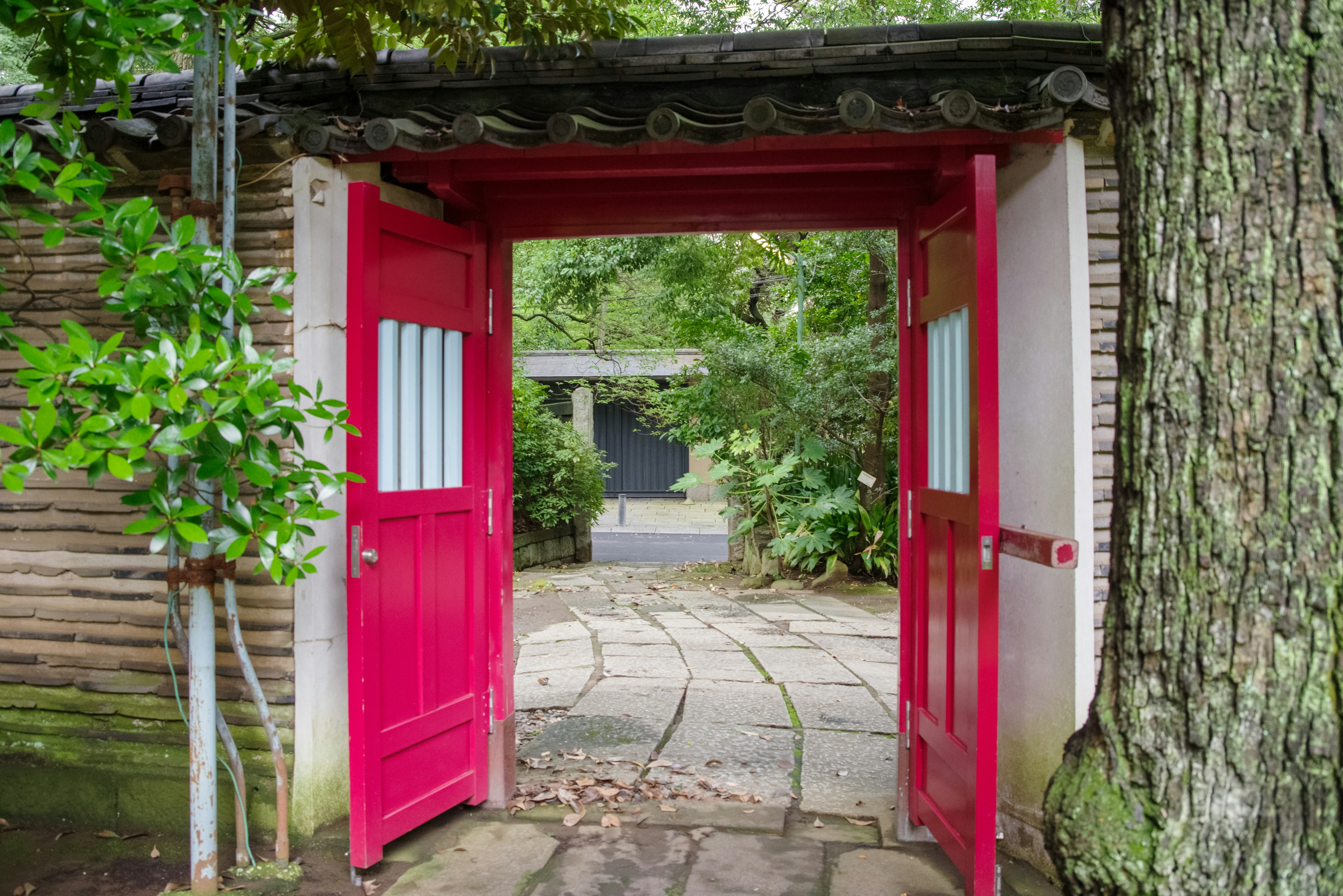 Pintu merah terbuka menuju taman Pohon hijau dan jalan batu terlihat