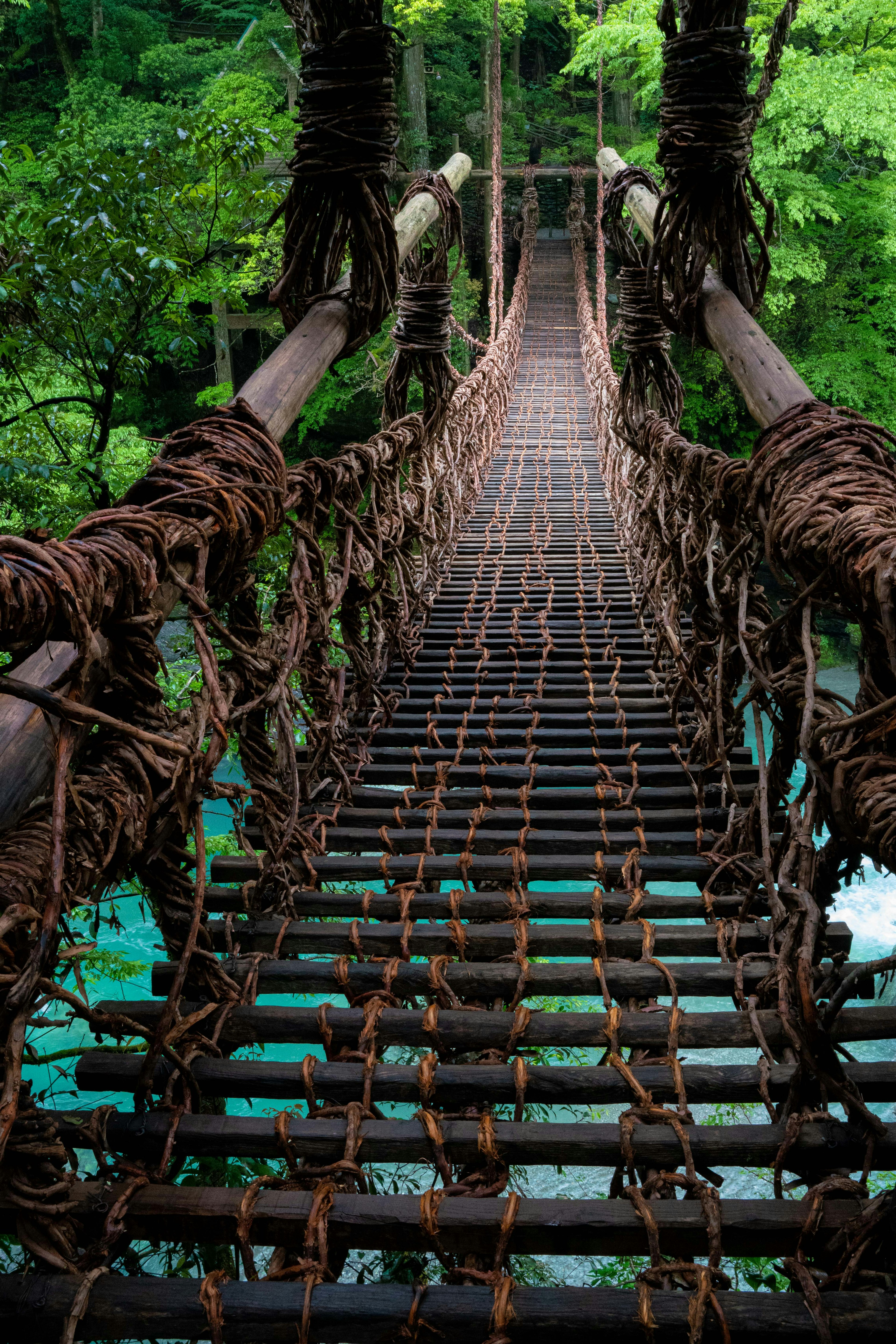 Handcrafted suspension bridge in a lush green forest The bridge is made of natural materials with clear water flowing beneath