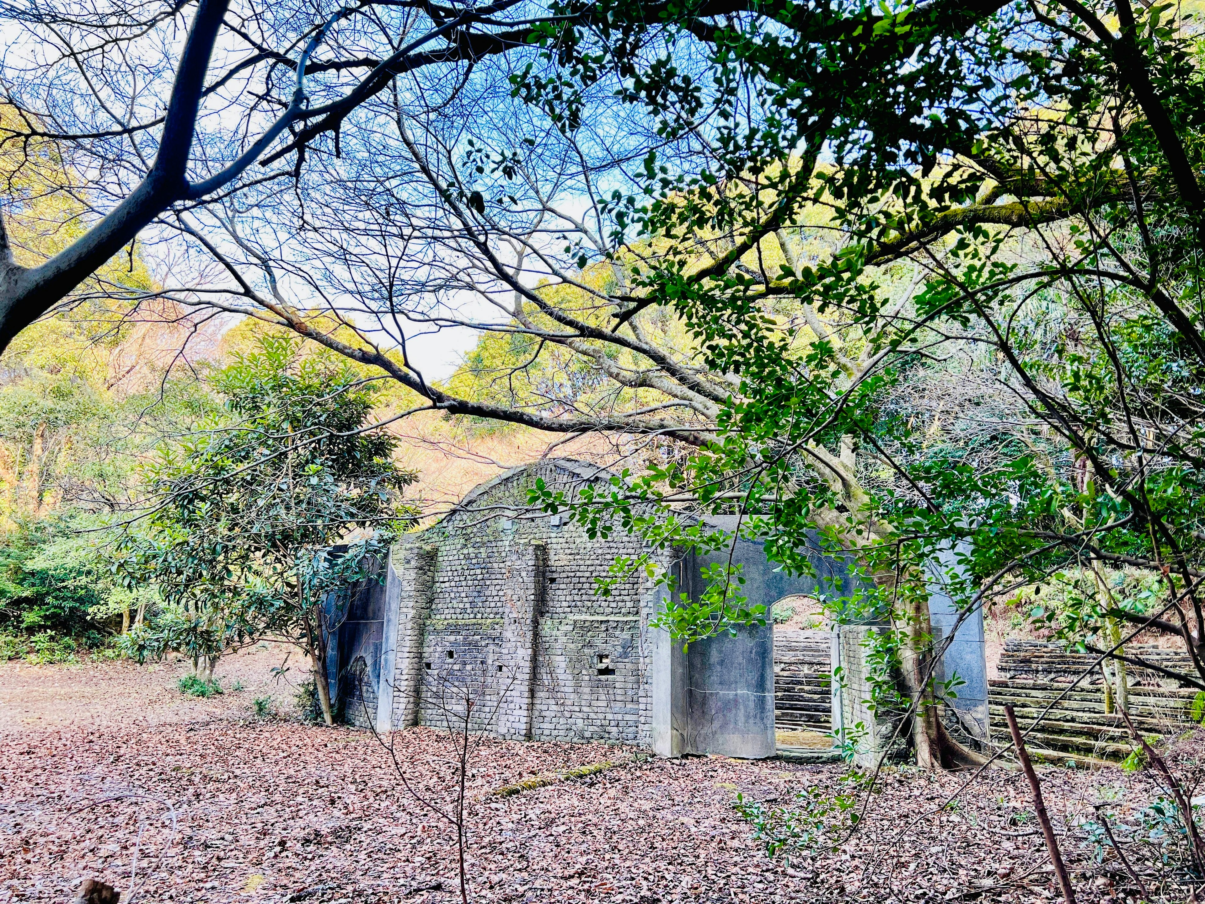 緑に囲まれた古い廃墟の建物と落ち葉