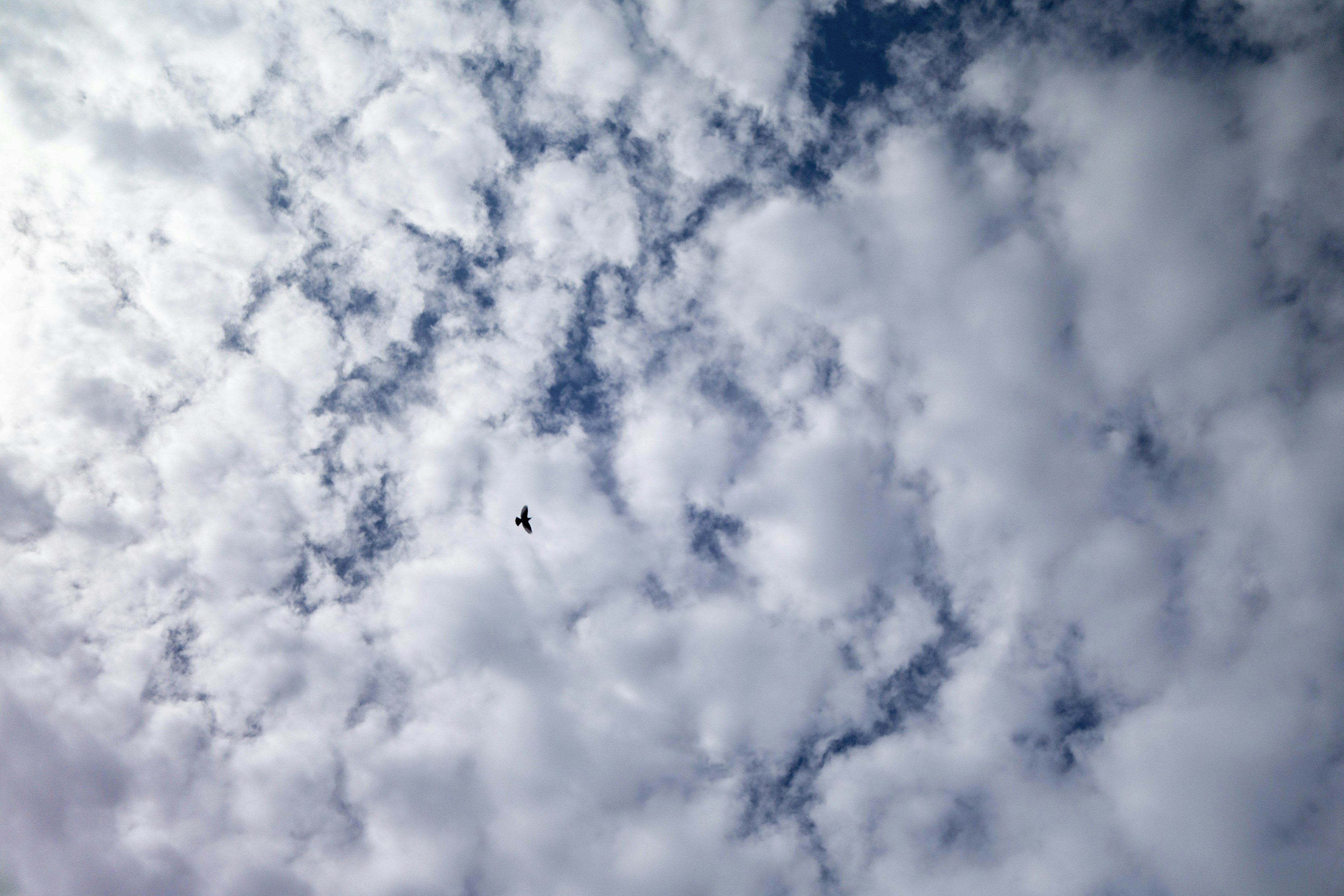 Nubes blancas en un cielo azul con un pequeño avión