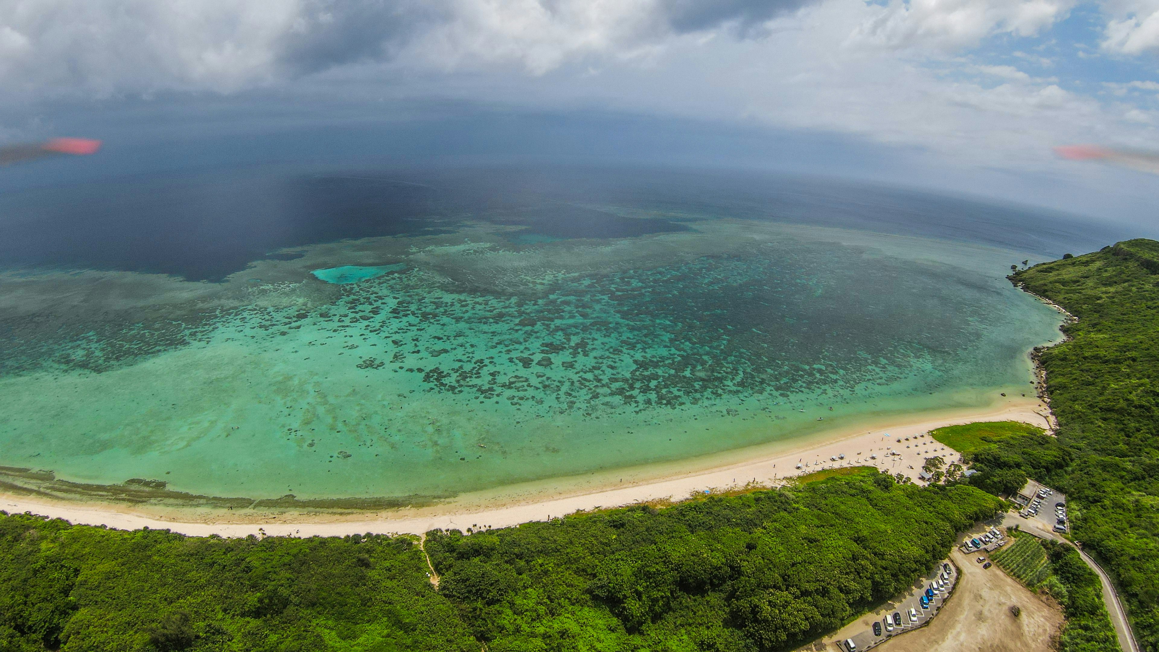 มุมมองทางอากาศของทะเลสีฟ้าครามและชายหาดทรายที่มีพืชพรรณล้อมรอบ