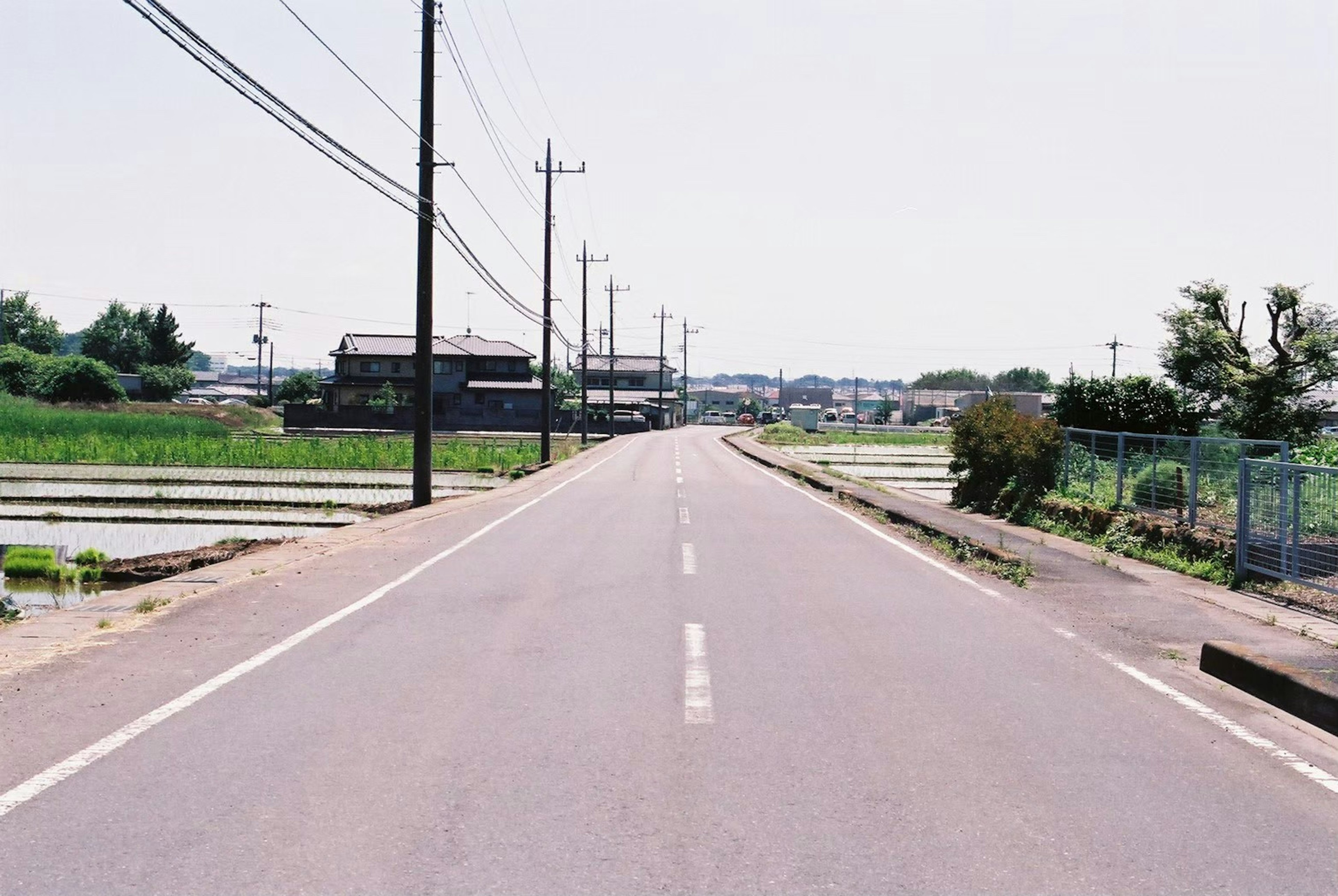 緑の田んぼに囲まれた静かな道路風景