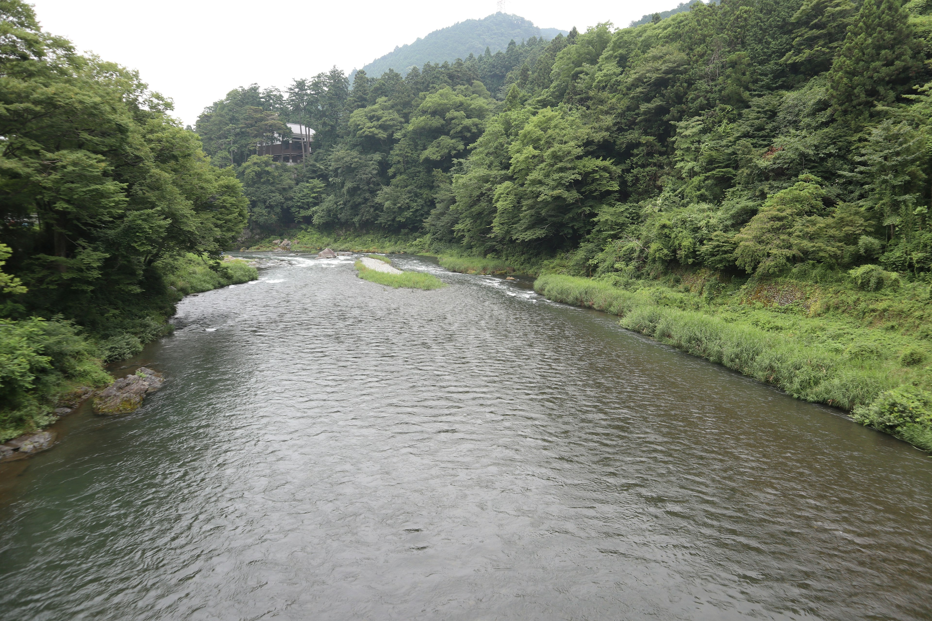 Una scena di fiume tranquilla circondata da vegetazione lussureggiante