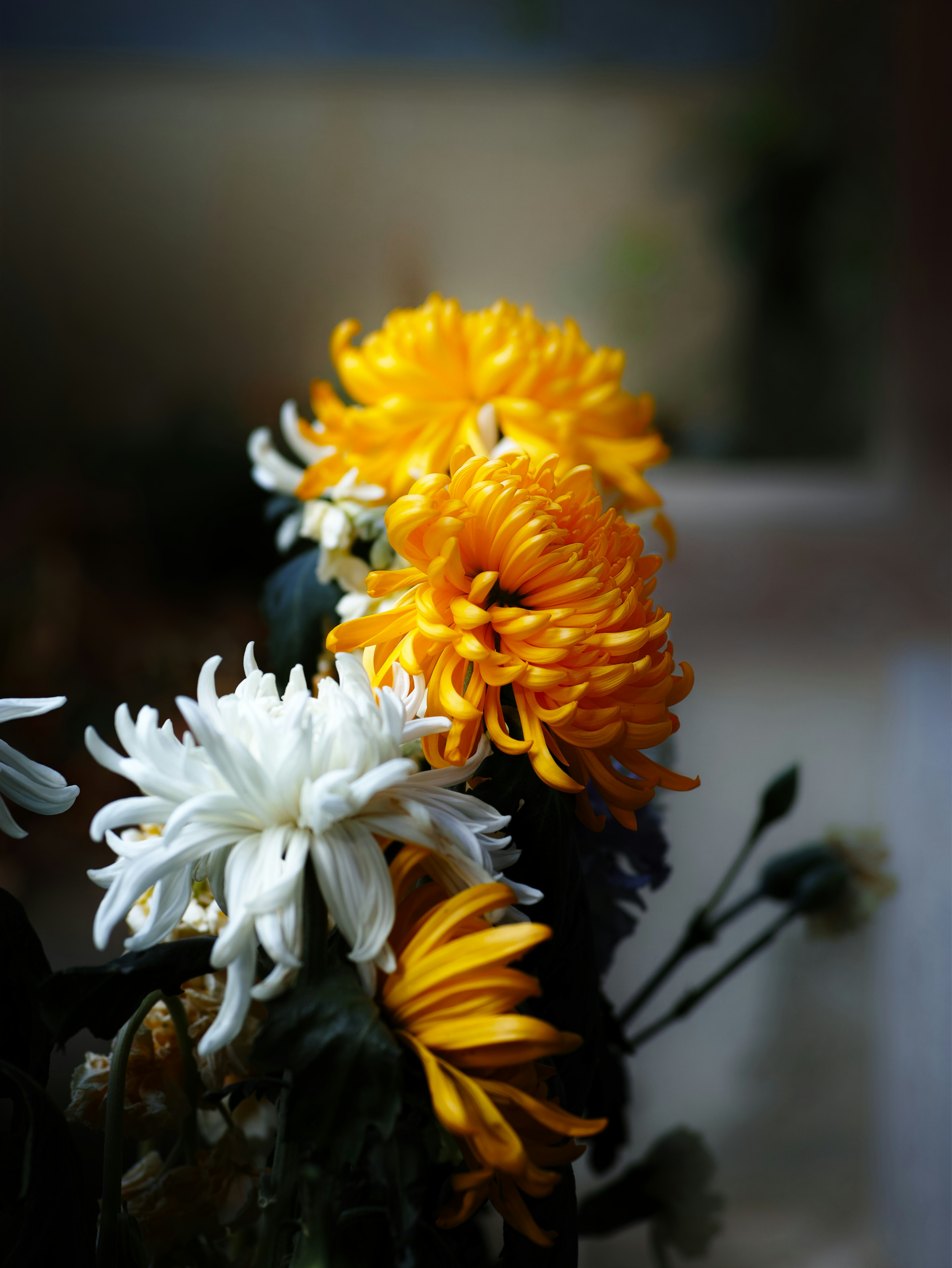 Ein schöner Strauß bunter Blumen mit gelben und weißen Chrysanthemen