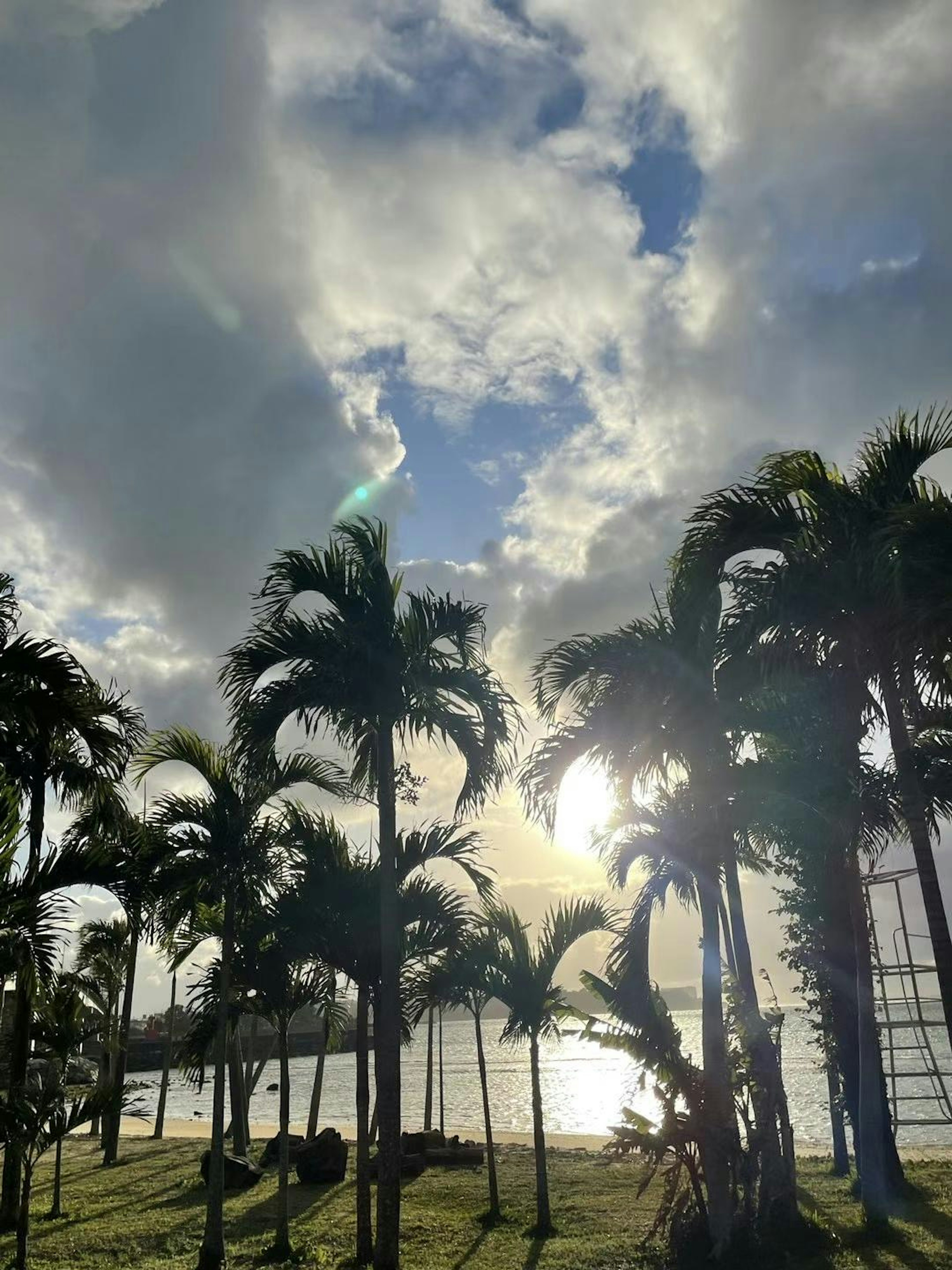 Palm trees silhouetted against a cloudy sky and sunlight reflecting on the water