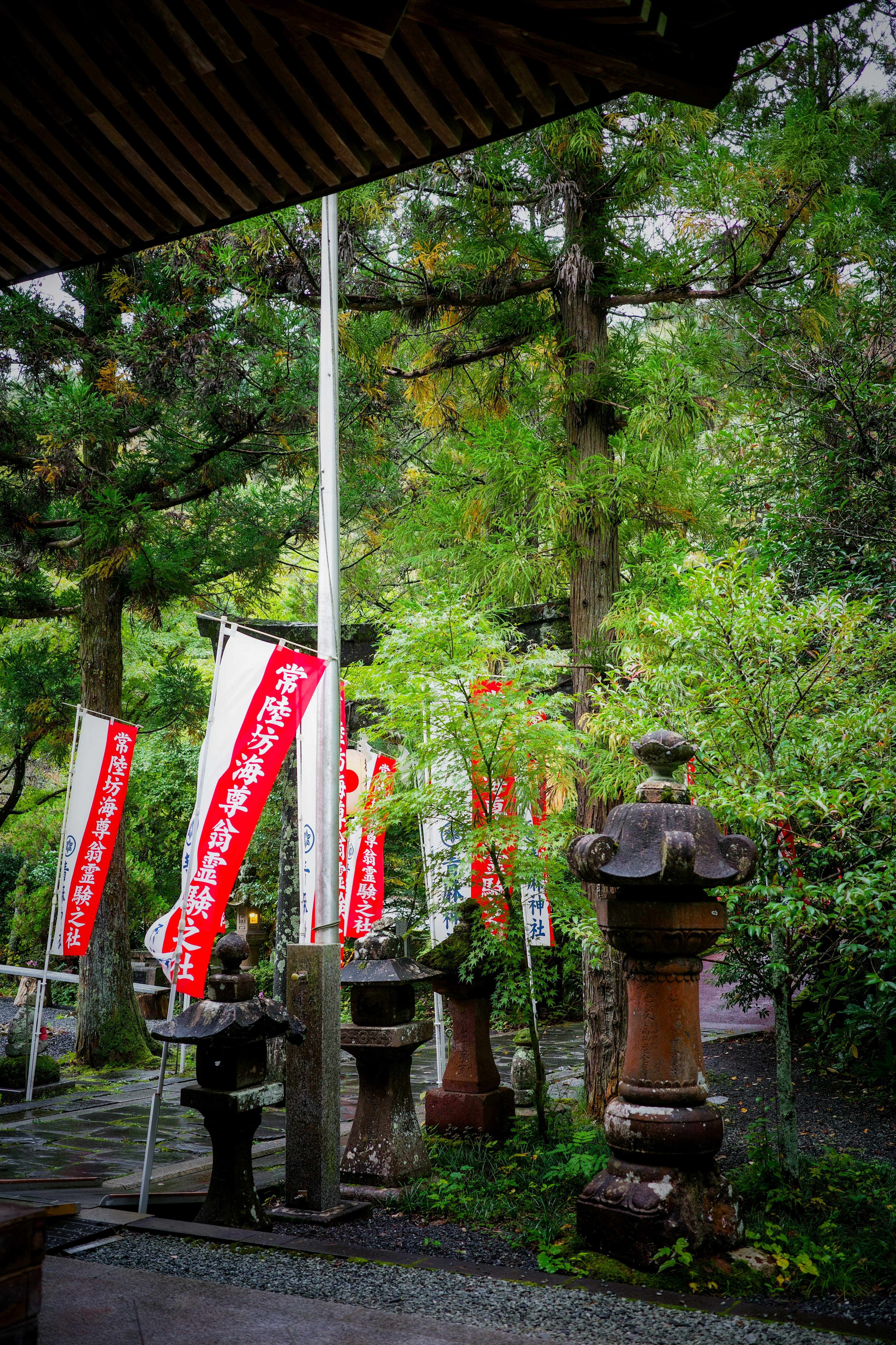 緑豊かな背景に並ぶ赤い旗と石灯籠の風景