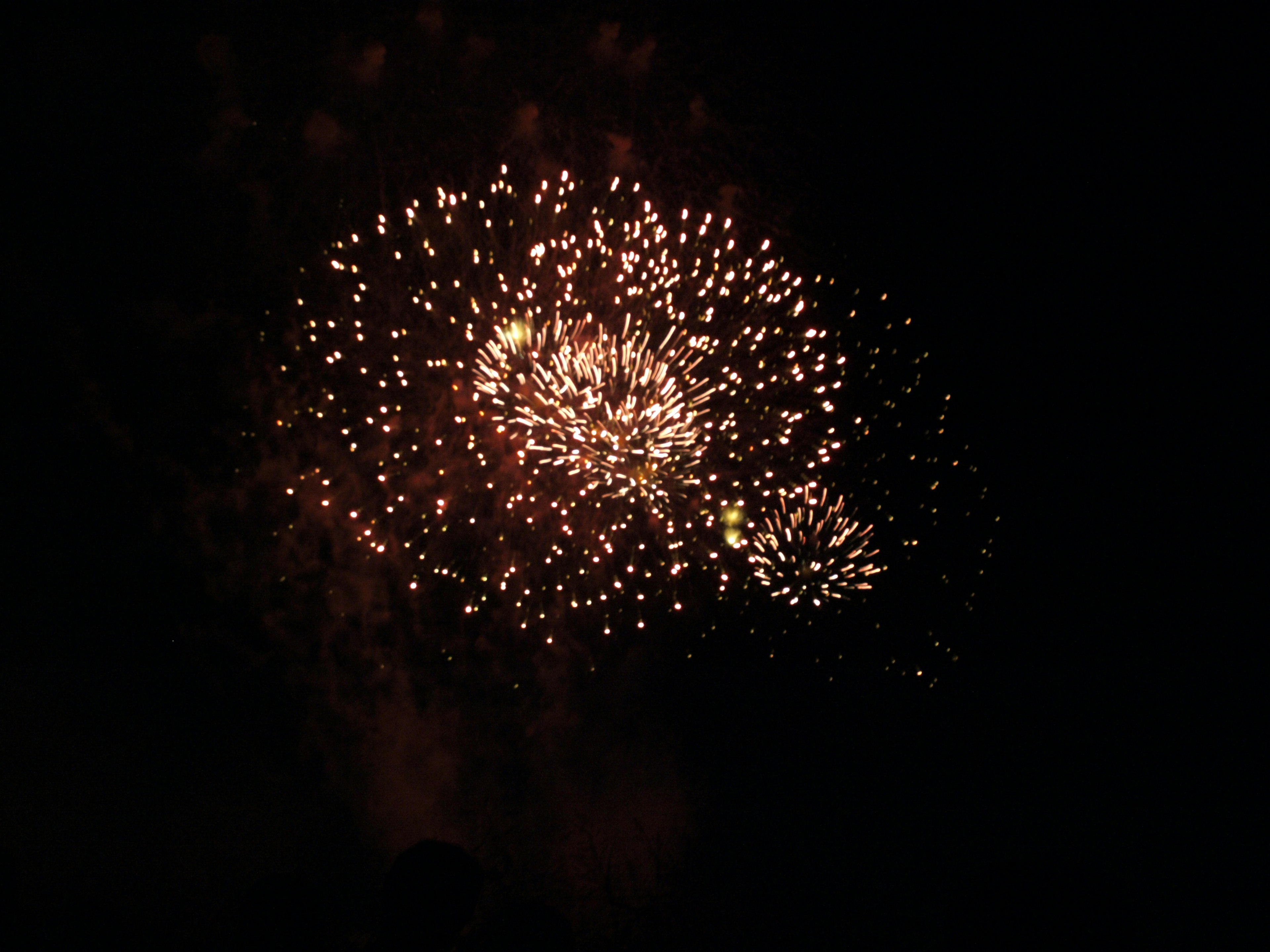 Fuochi d'artificio colorati che esplodono nel cielo notturno