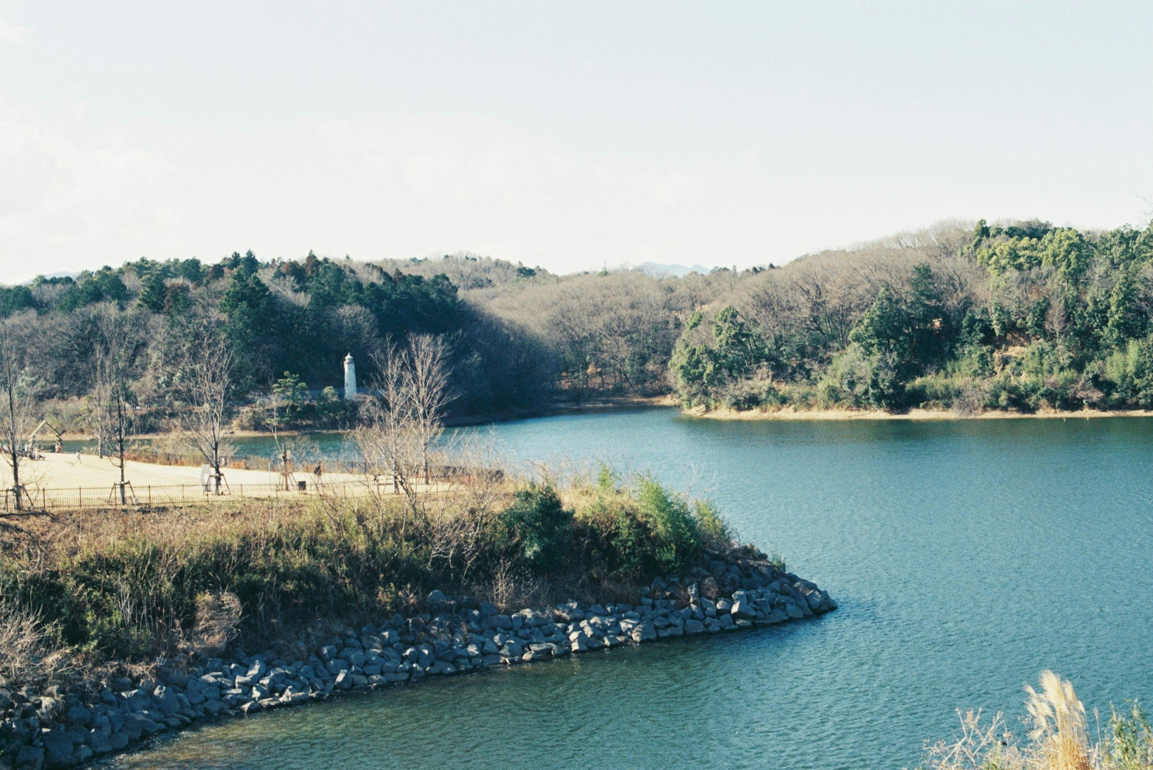 Lago sereno circondato da alberi e colline