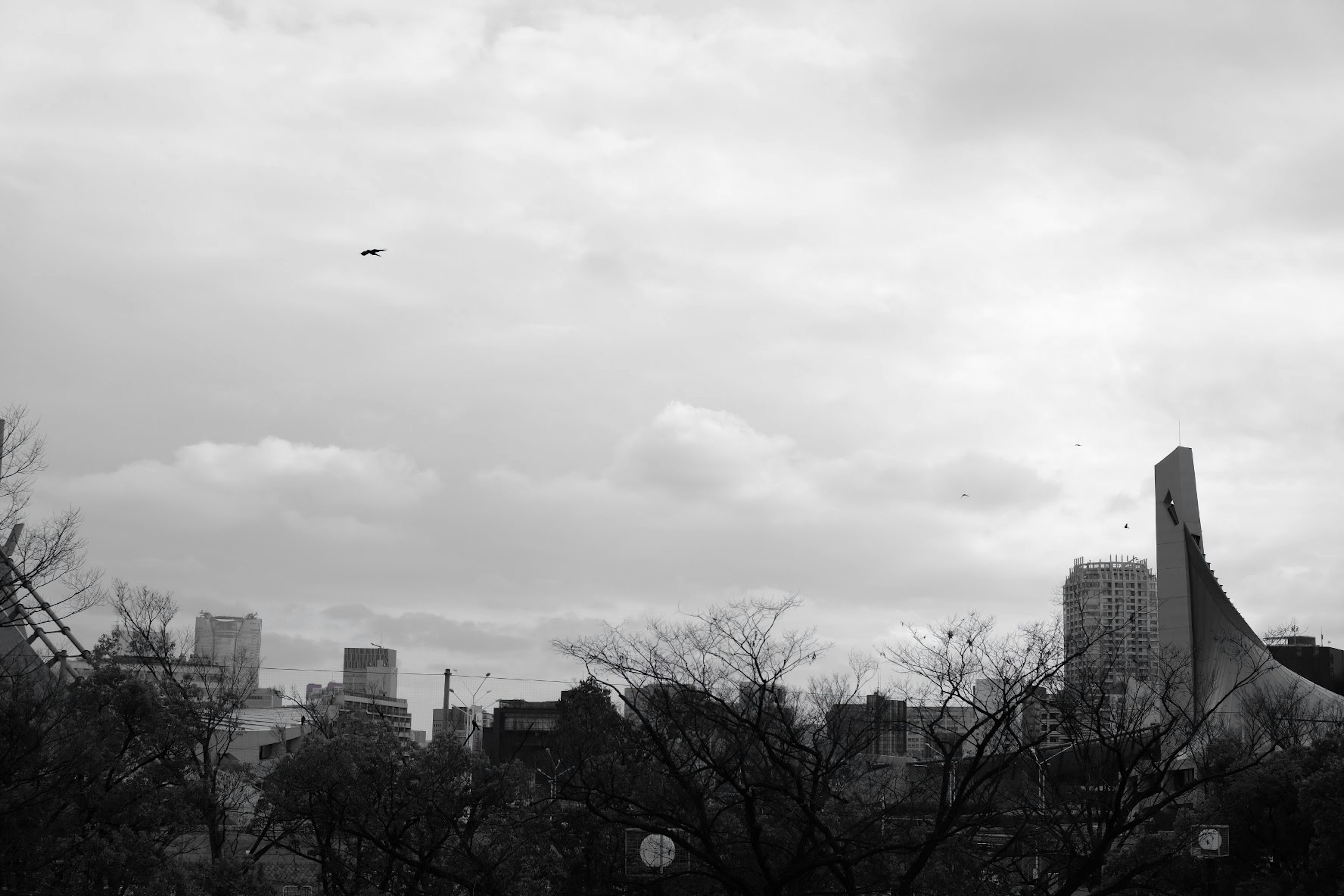 Paisaje urbano en blanco y negro con un cielo nublado y rascacielos