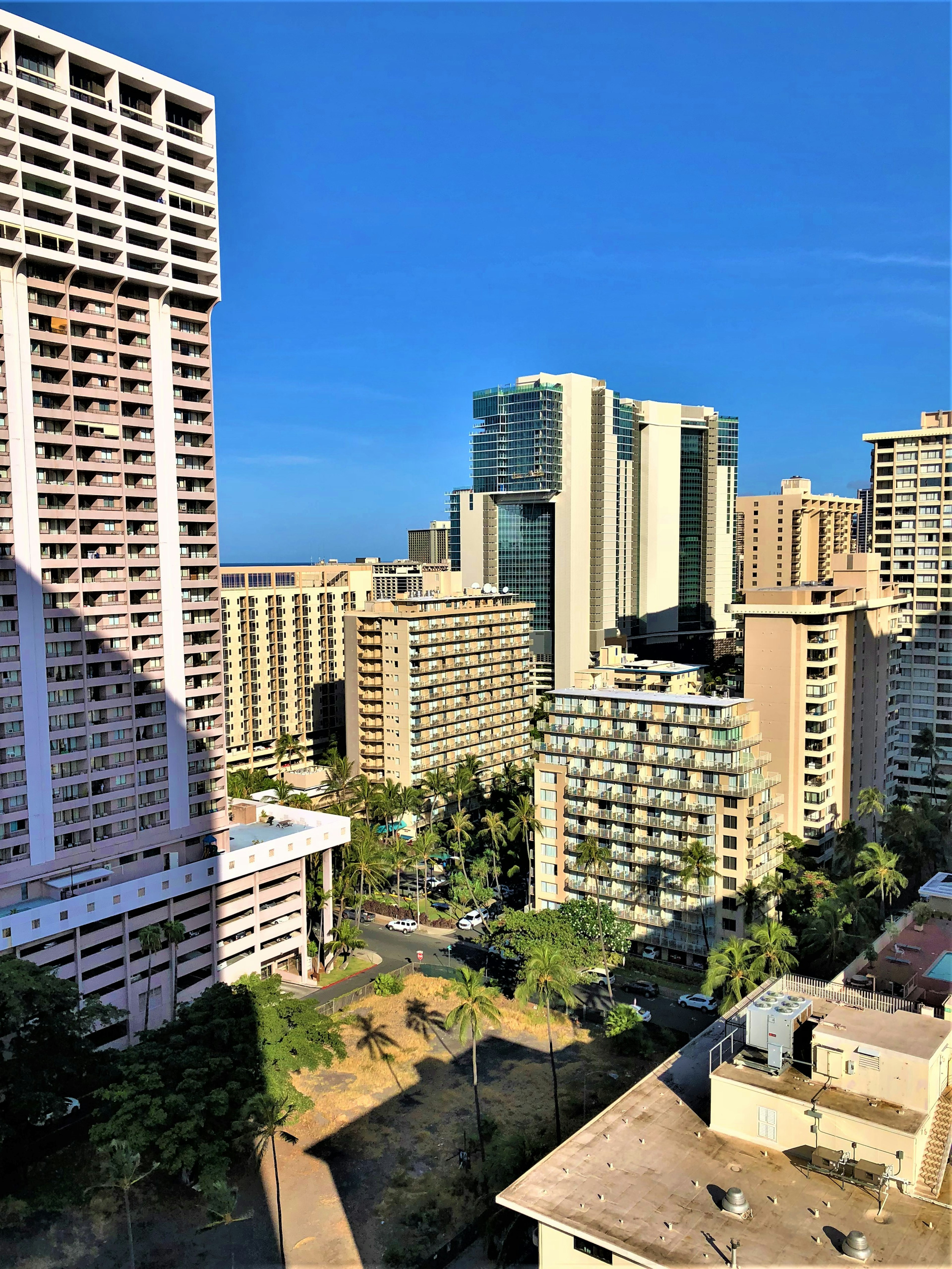 Blick auf Hochhäuser in Honolulu unter einem klaren blauen Himmel