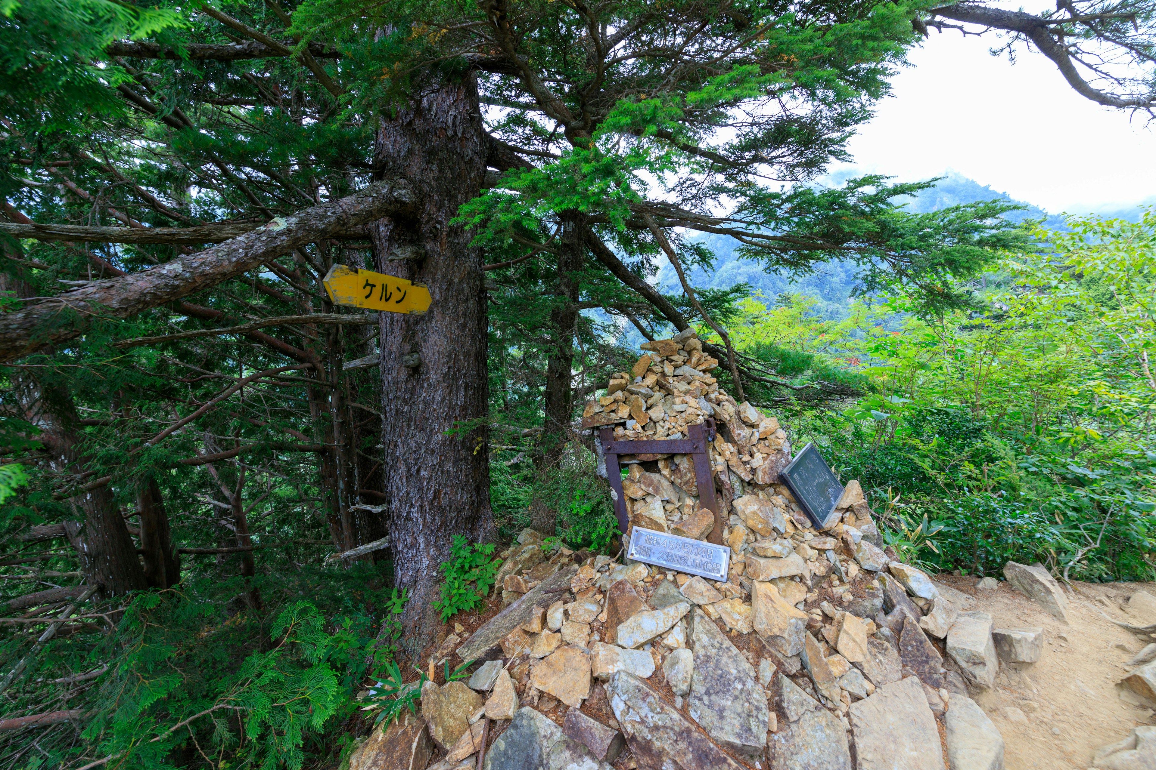 山道の標識と石の山がある緑豊かな風景