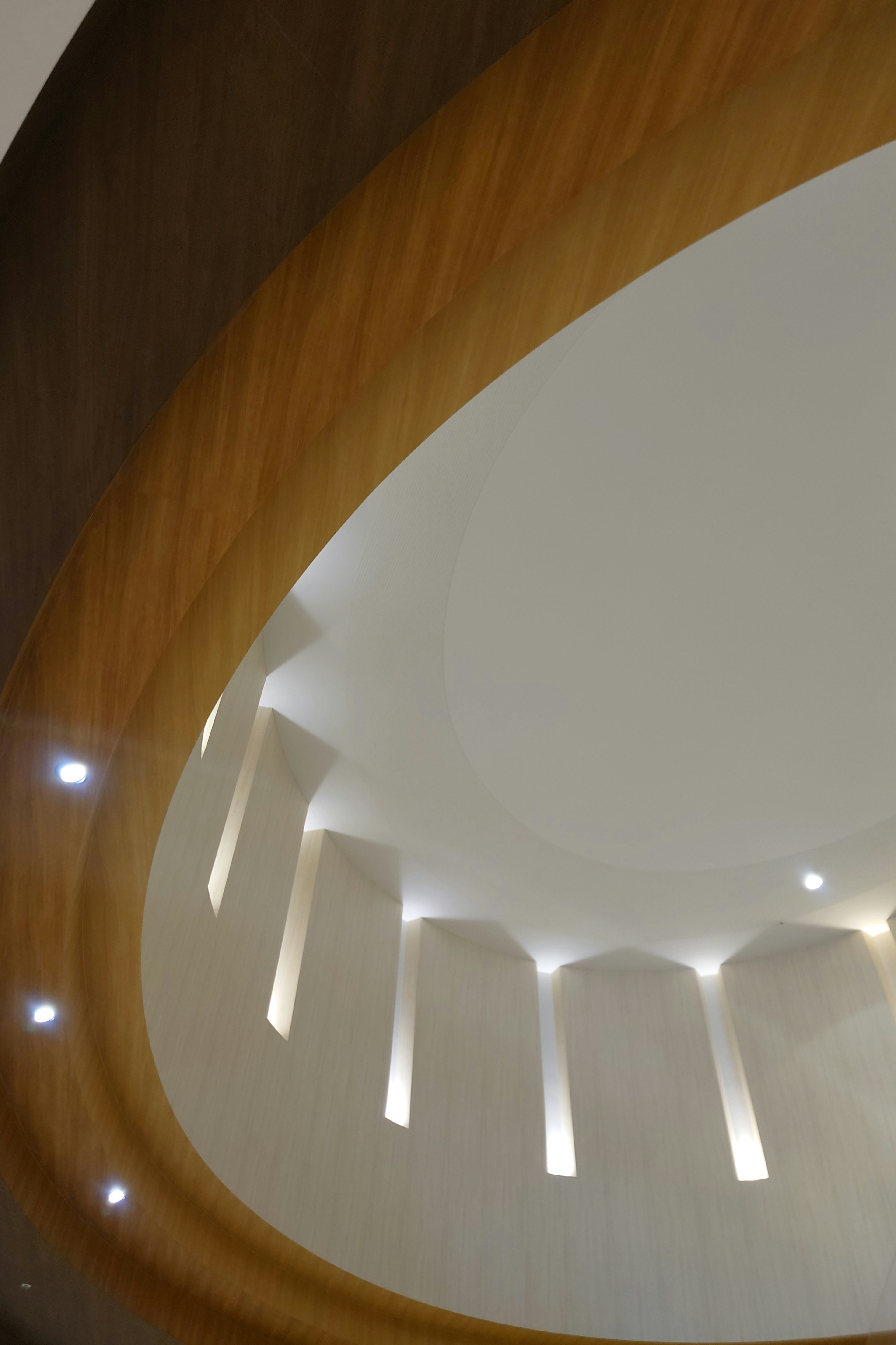 Vista interna con un design del soffitto curvo e una texture di legno caldo