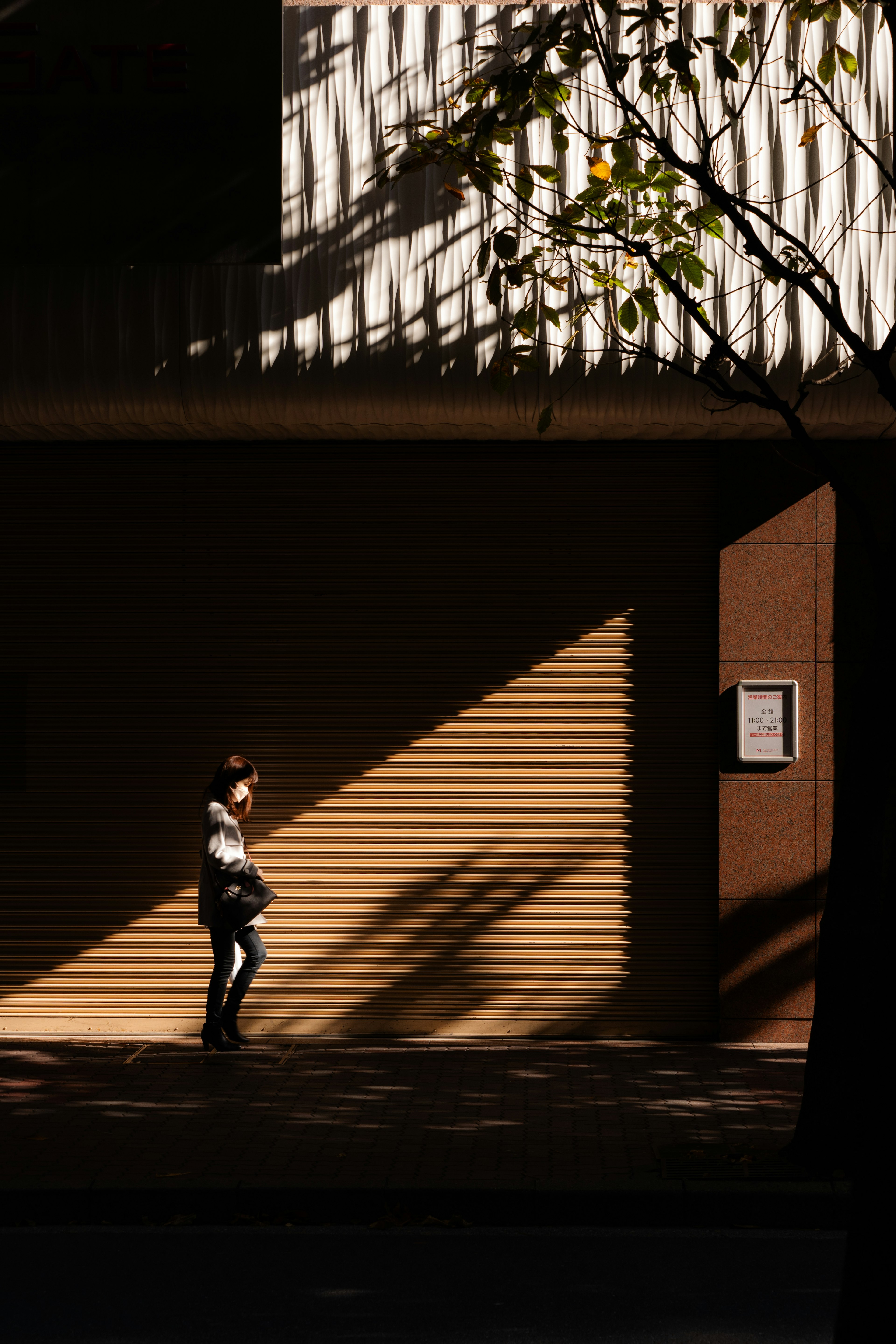 A person walking in front of a building with shadows