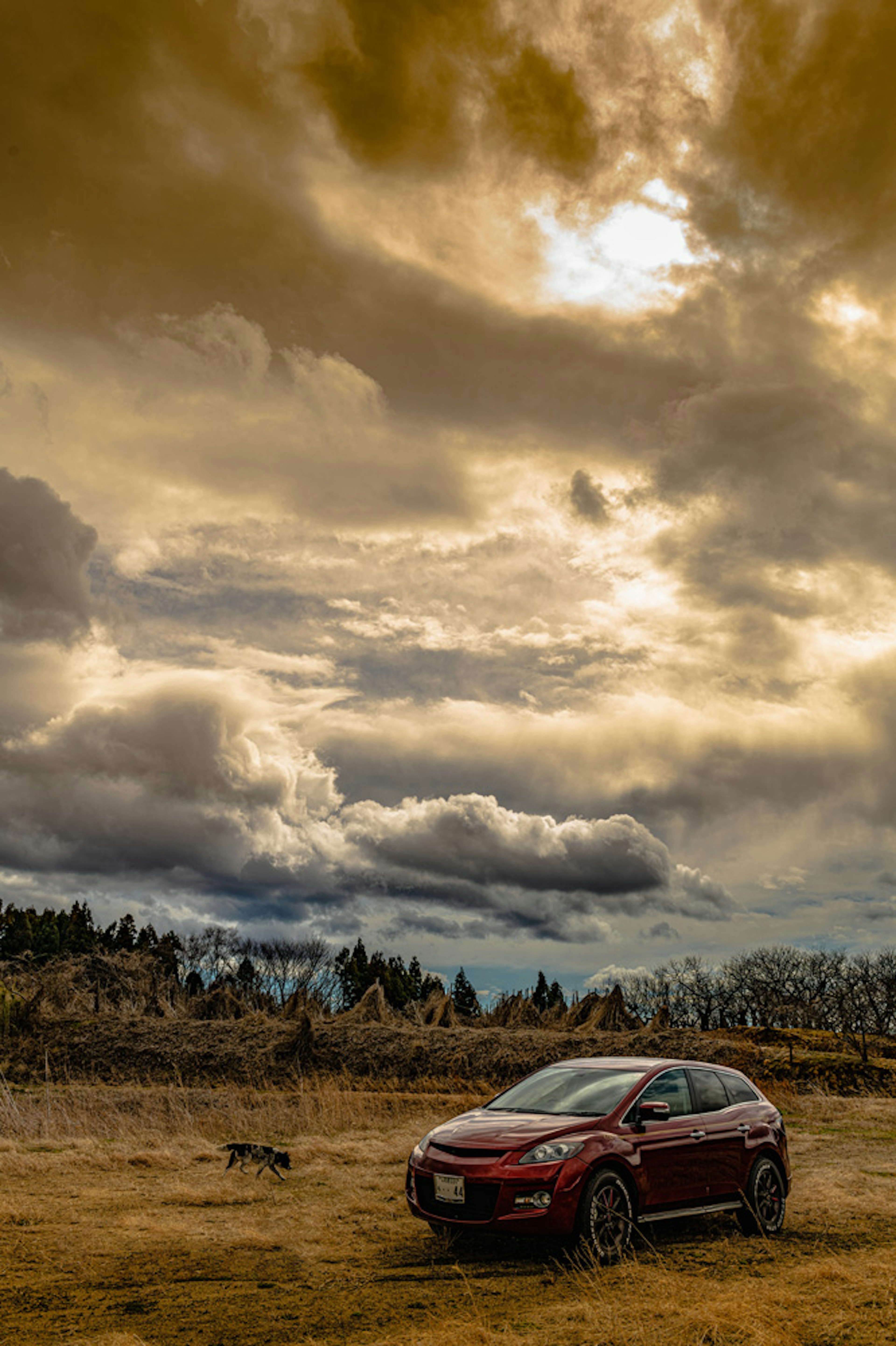 Red car parked in a wide grassy field with a dramatic orange sky and clouds