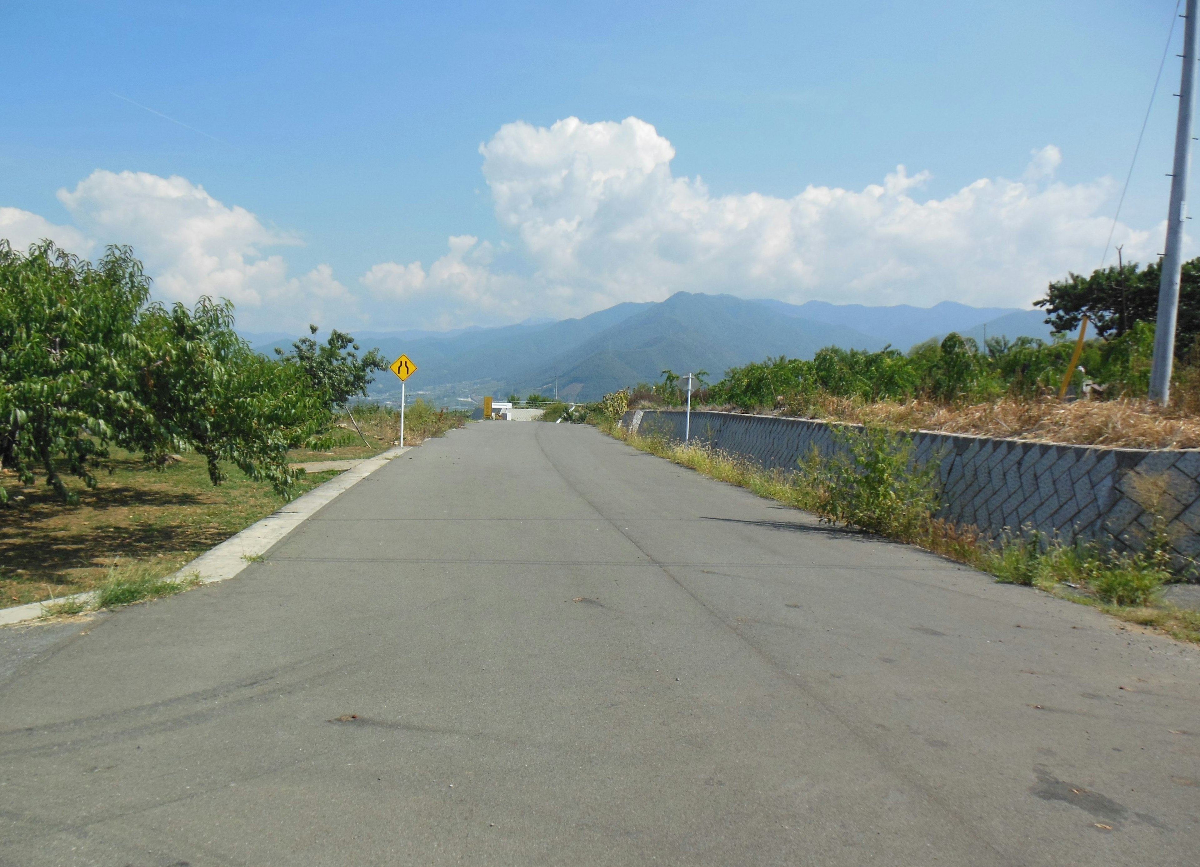 青い空と白い雲が広がる山道の景色 植物が並ぶ緑の側道