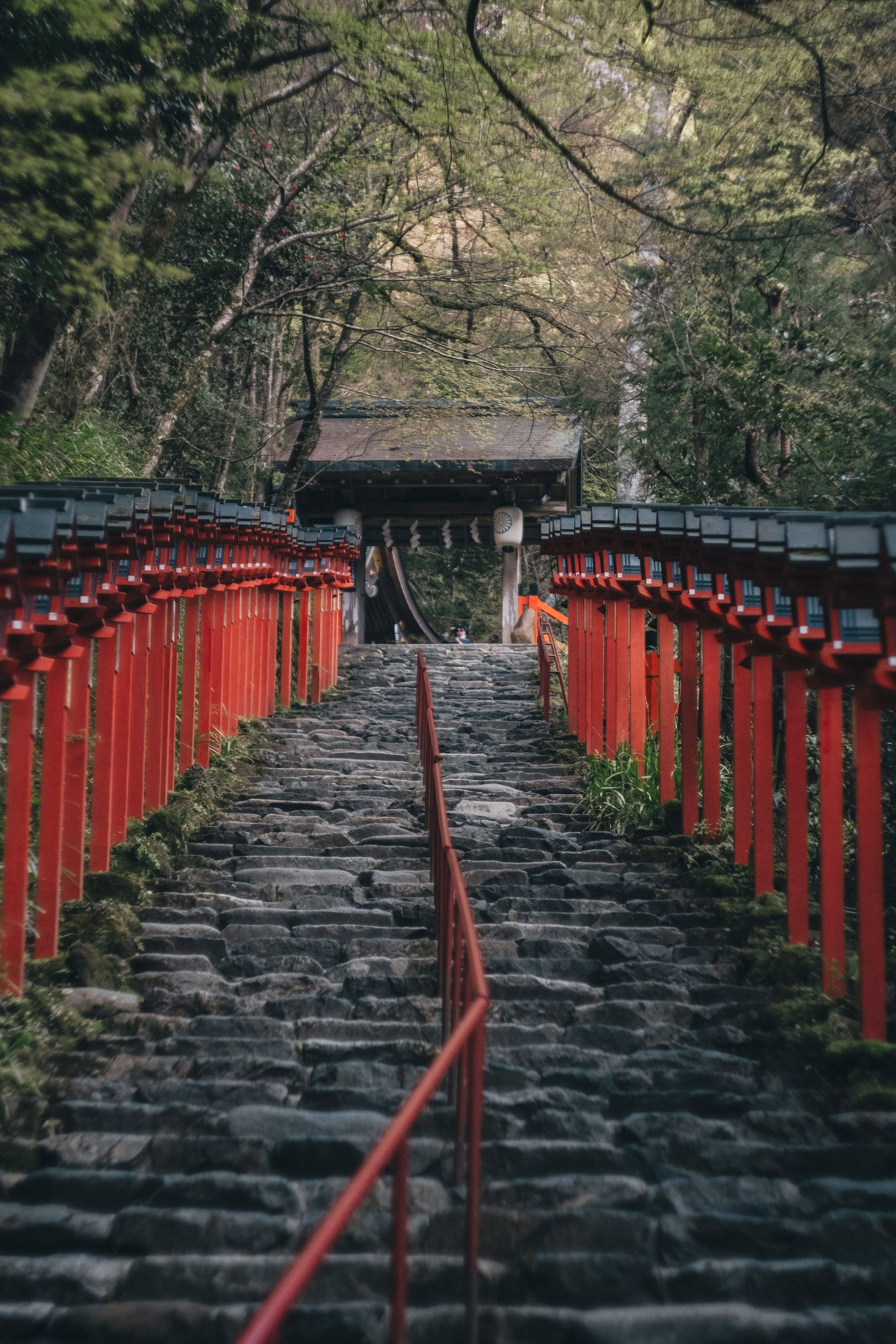 赤い橋と石の階段が続く神社の道