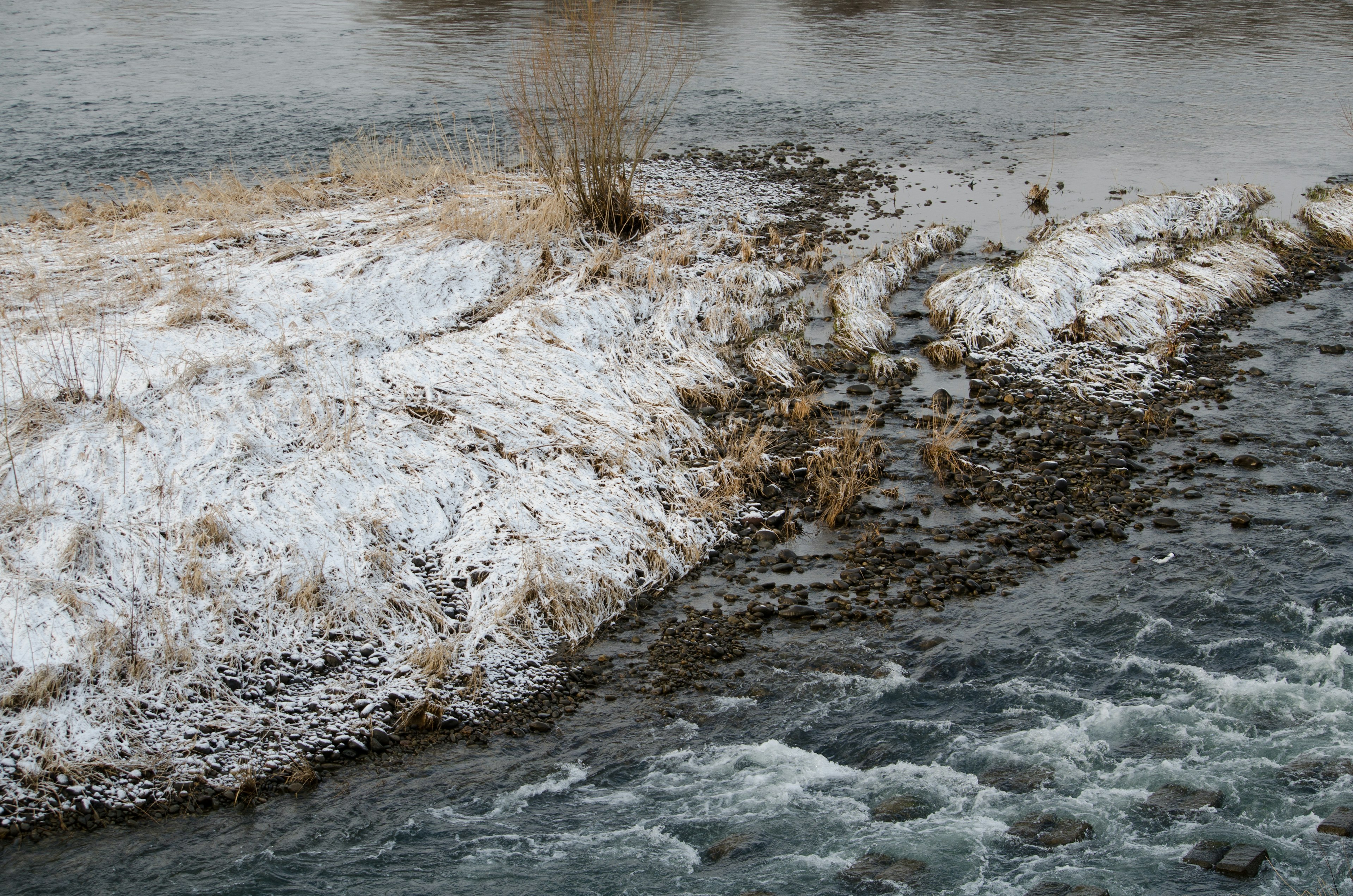 Orilla del río cubierta de nieve con agua fluyendo