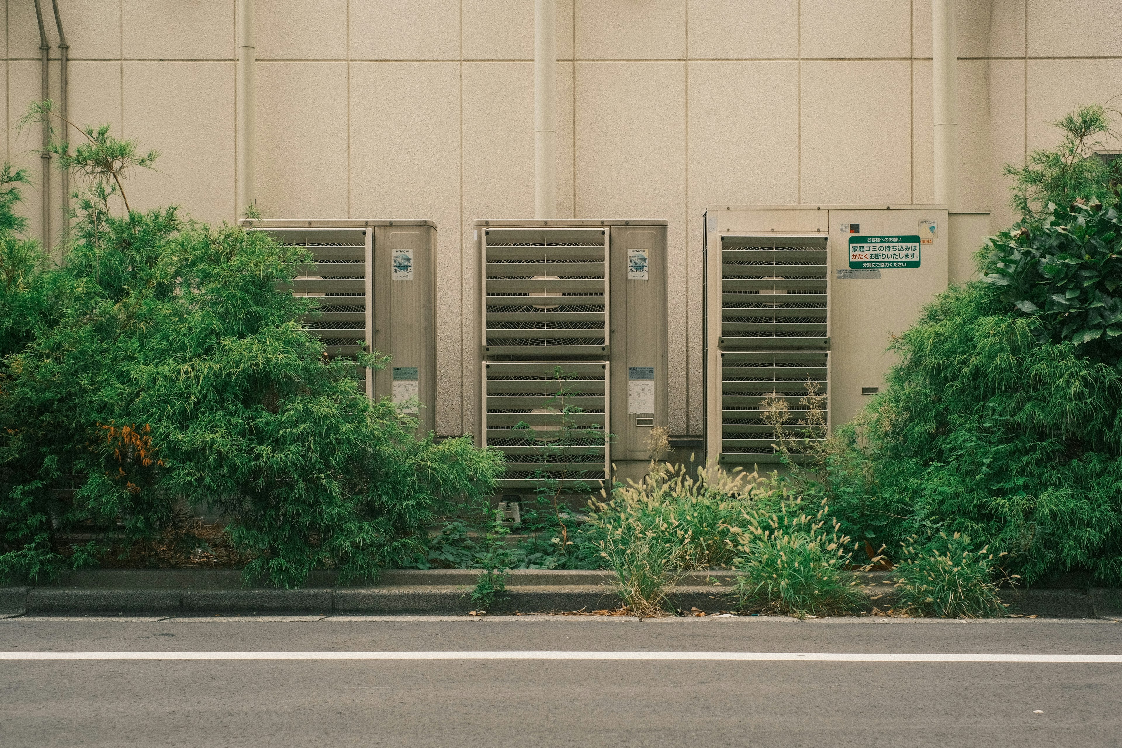 建物の裏にあるエアコンユニットと豊かな緑の植物