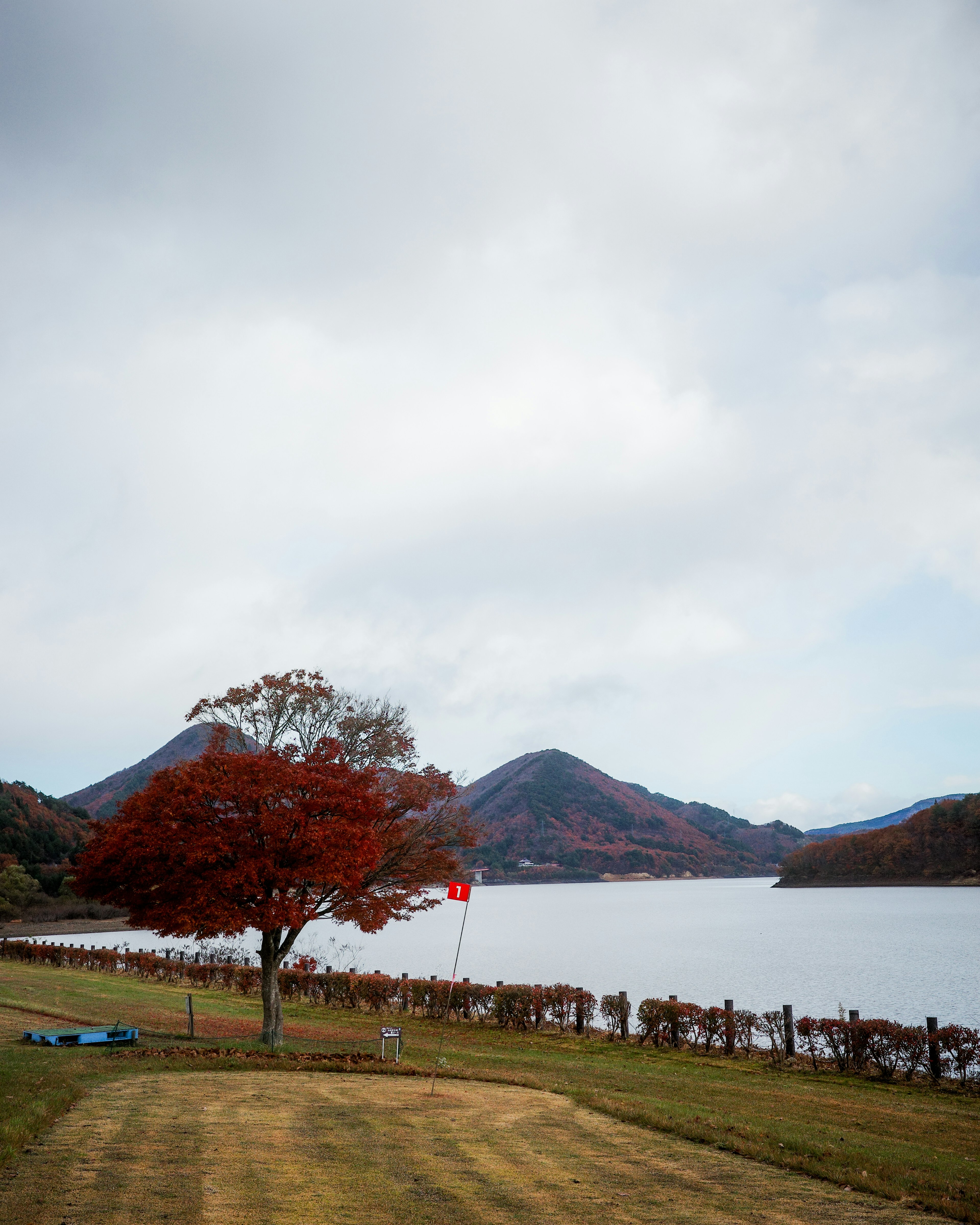 紅葉した木と湖が広がる風景