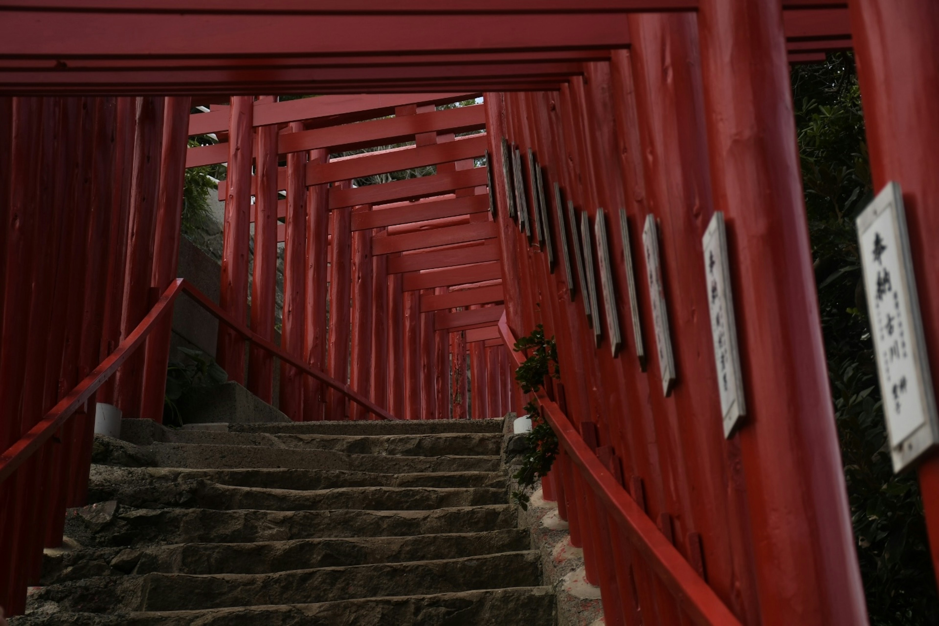 赤い鳥居が並ぶ階段の風景