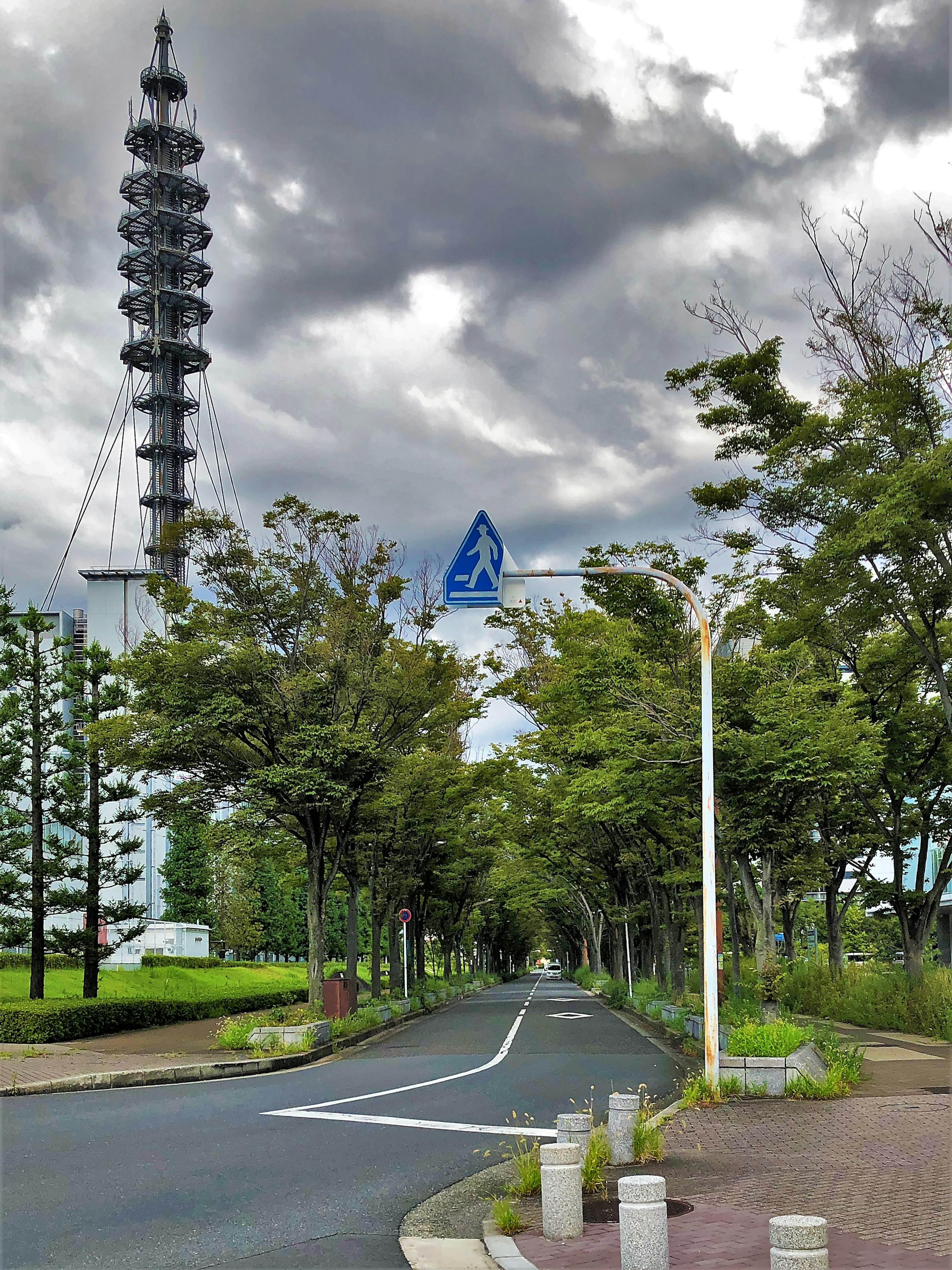 Paved road lined with green trees and a pedestrian sign in the background