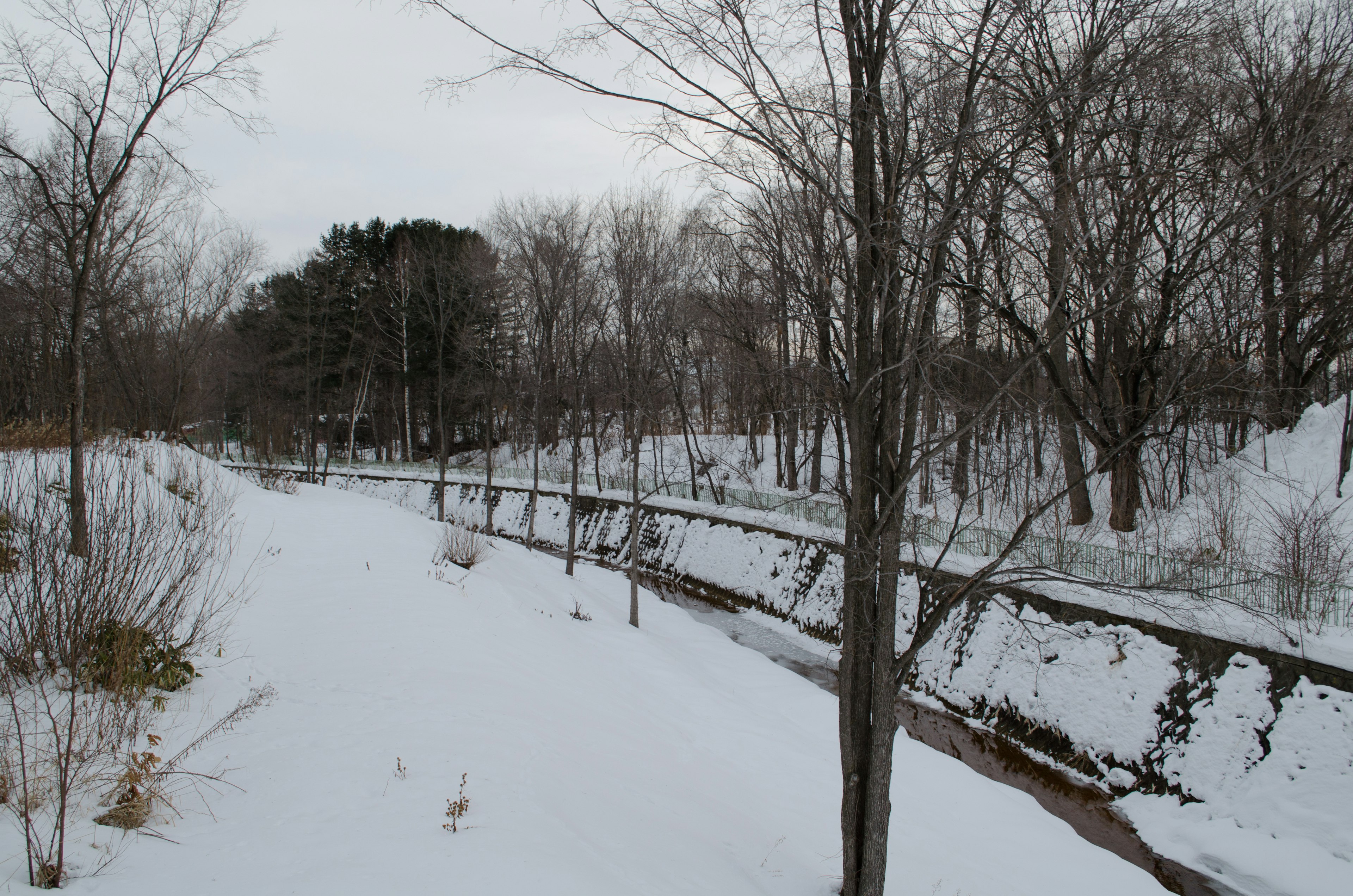 Paisaje invernal con un arroyo cubierto de nieve y árboles desnudos