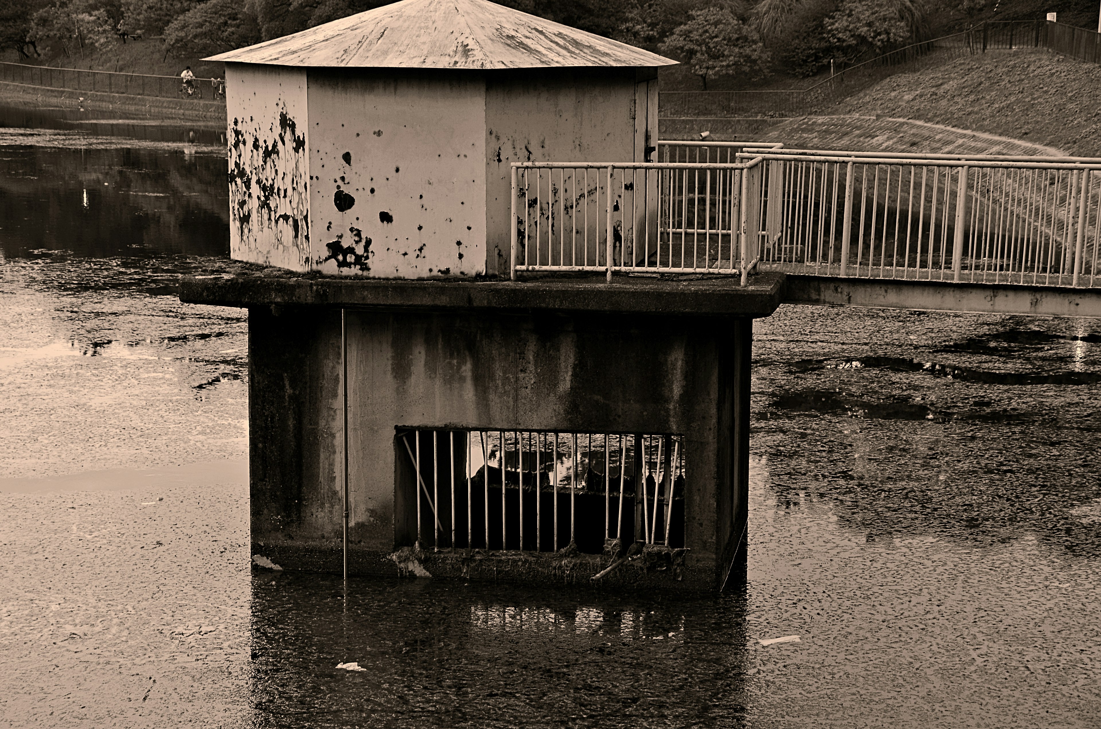 Old pump house on the water with surrounding wetland