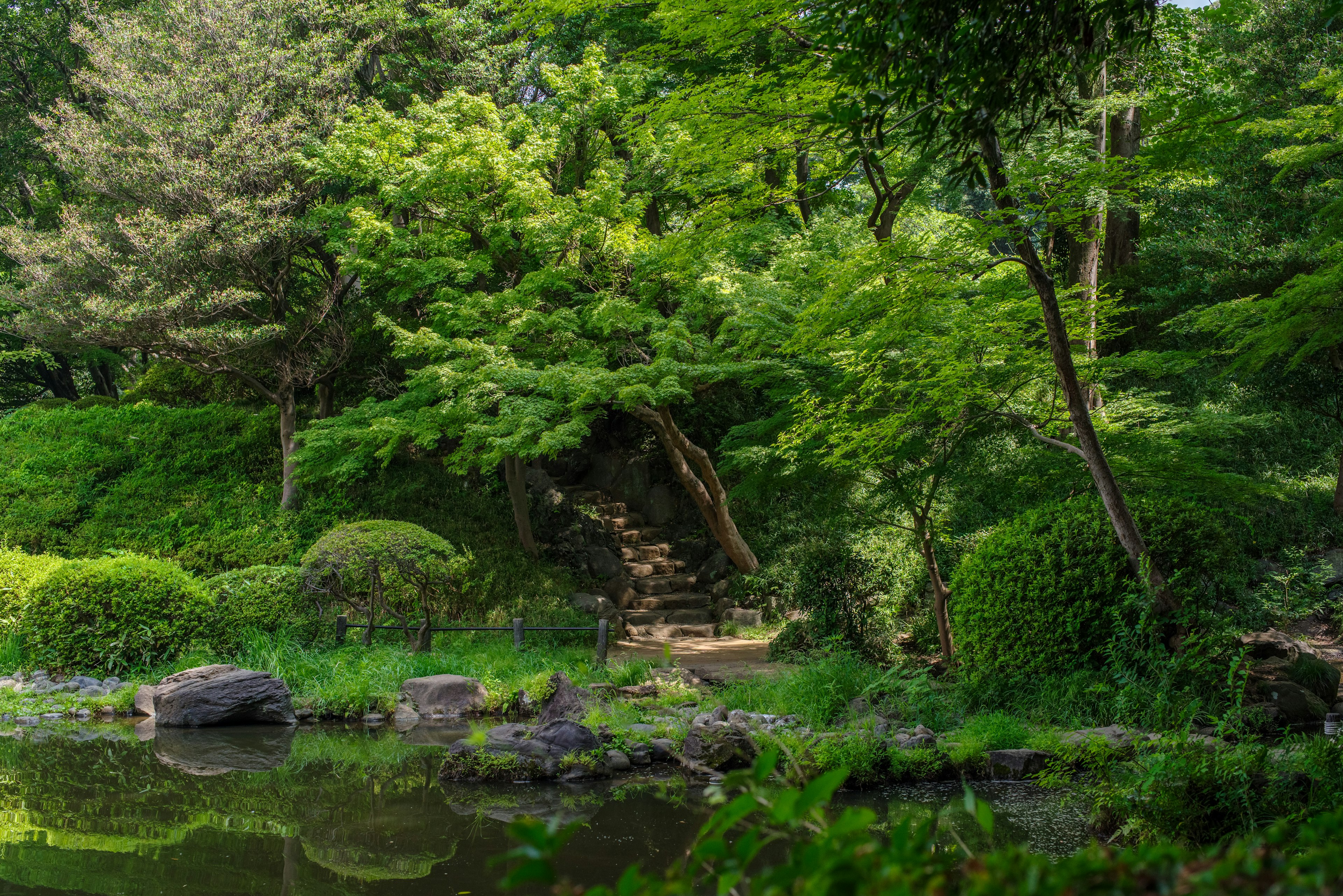 Ruhige japanische Gartenlandschaft mit üppigem Grün und einem Teich