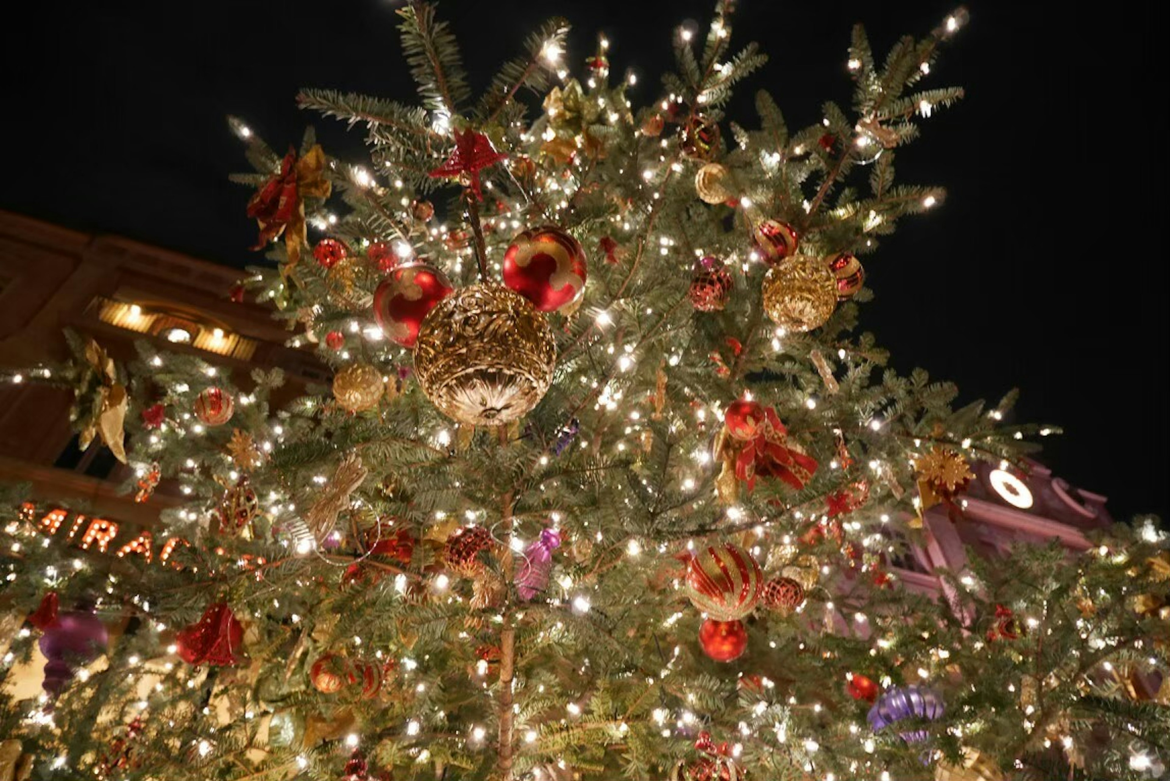 Weihnachtsbaum geschmückt mit Lichtern und Ornamenten