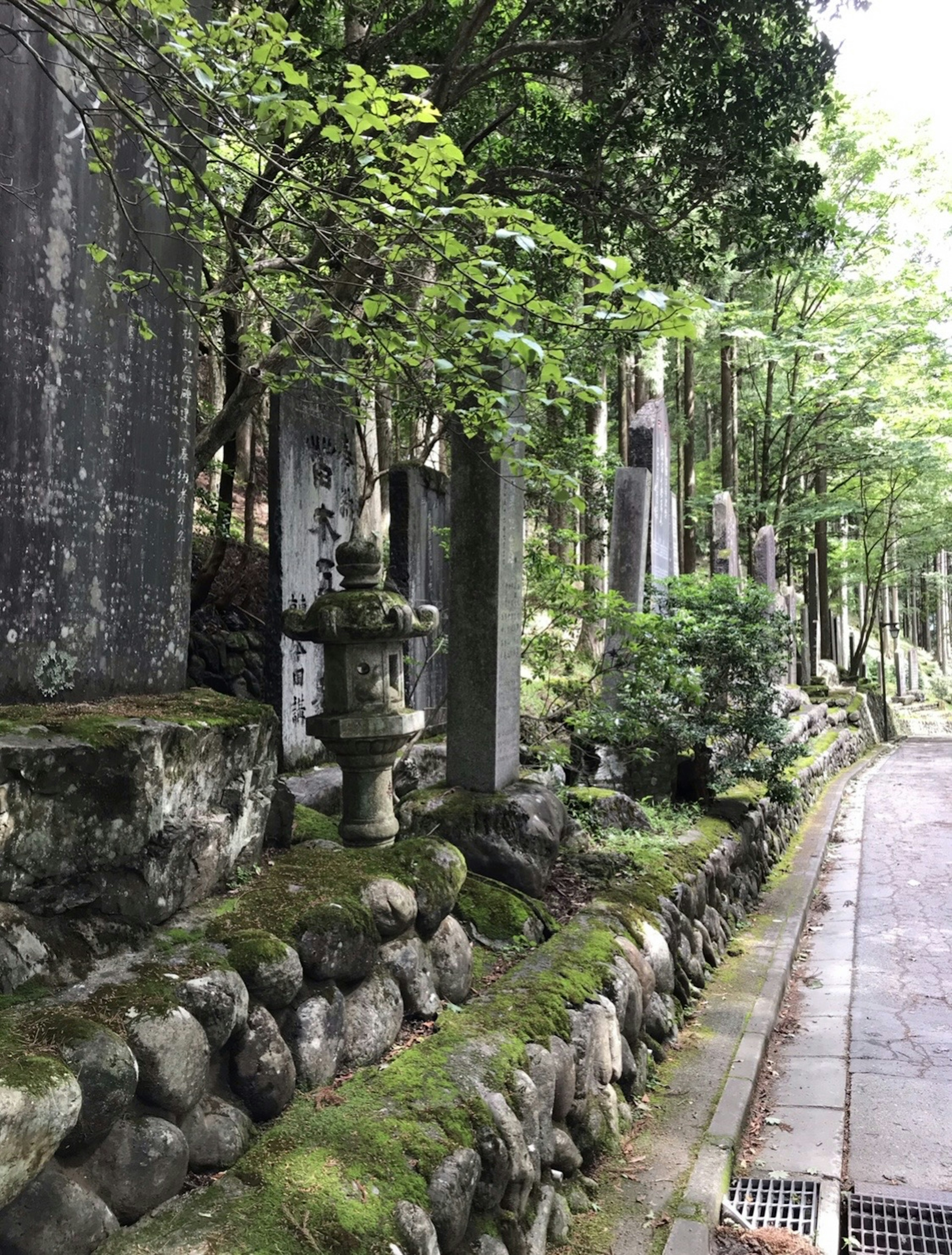 Lanskap hijau subur mengelilingi jalan tenang yang dipenuhi dengan monumen batu dan batu yang ditutupi lumut