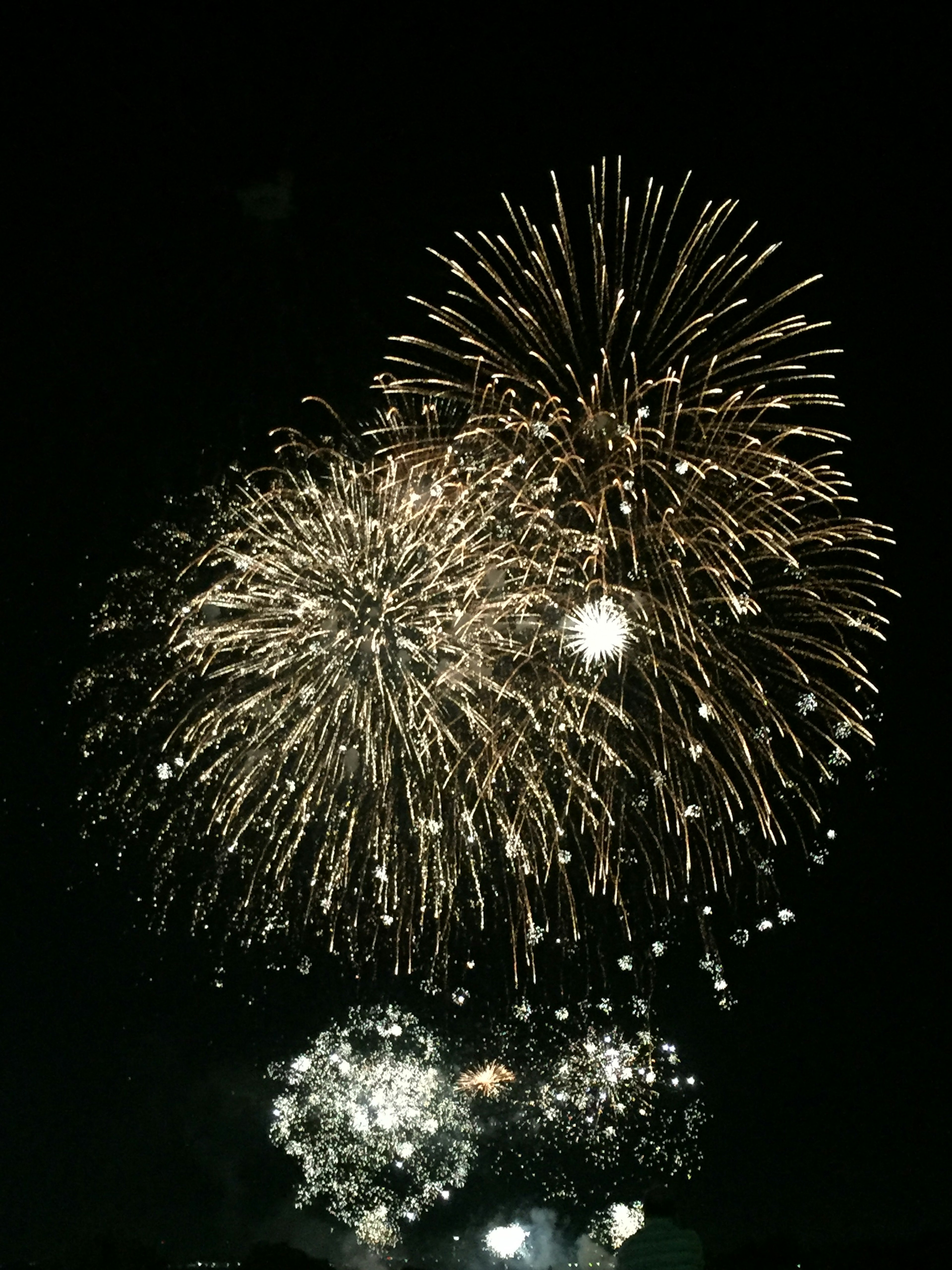 Spettacolo di fuochi d'artificio nel cielo notturno