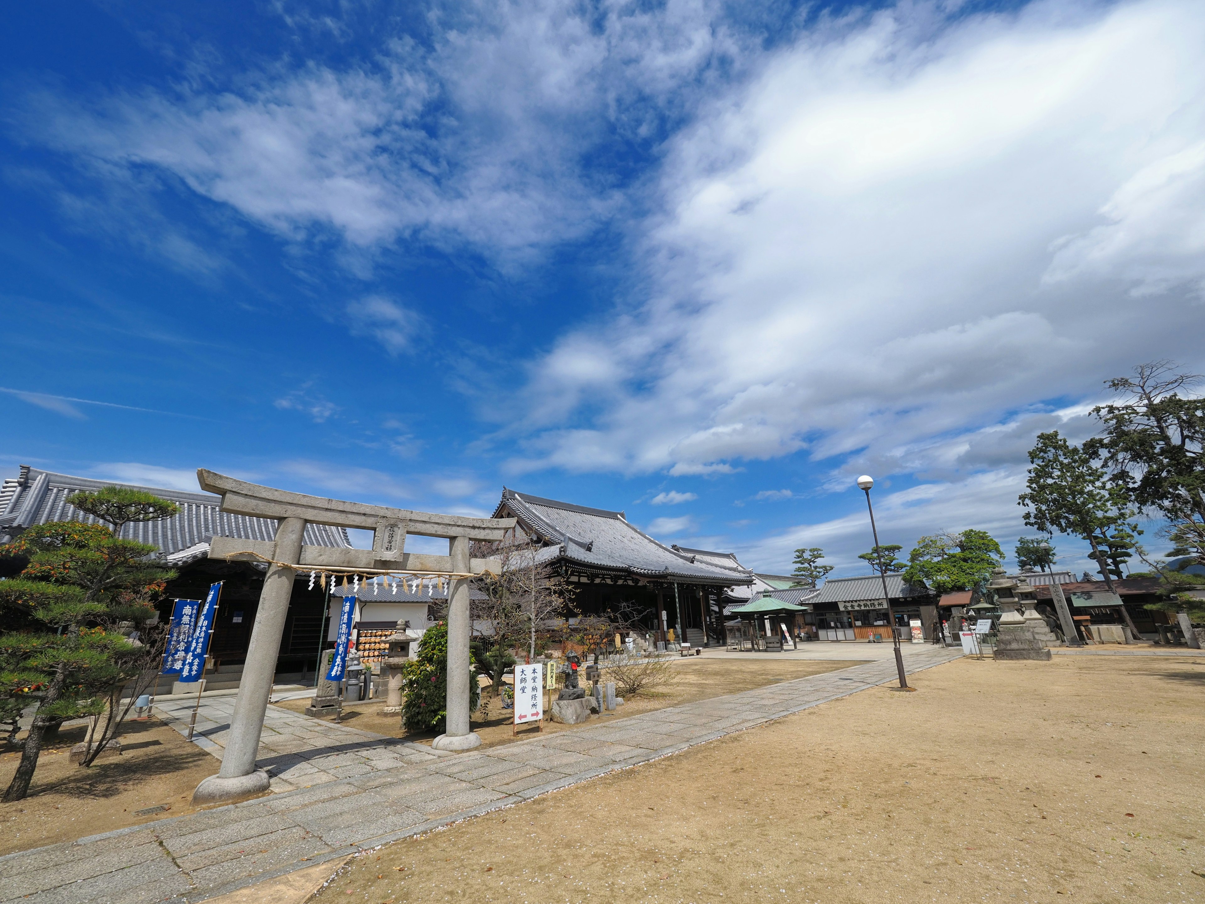 Vue d'un chemin de sanctuaire avec des portes torii sous un ciel bleu