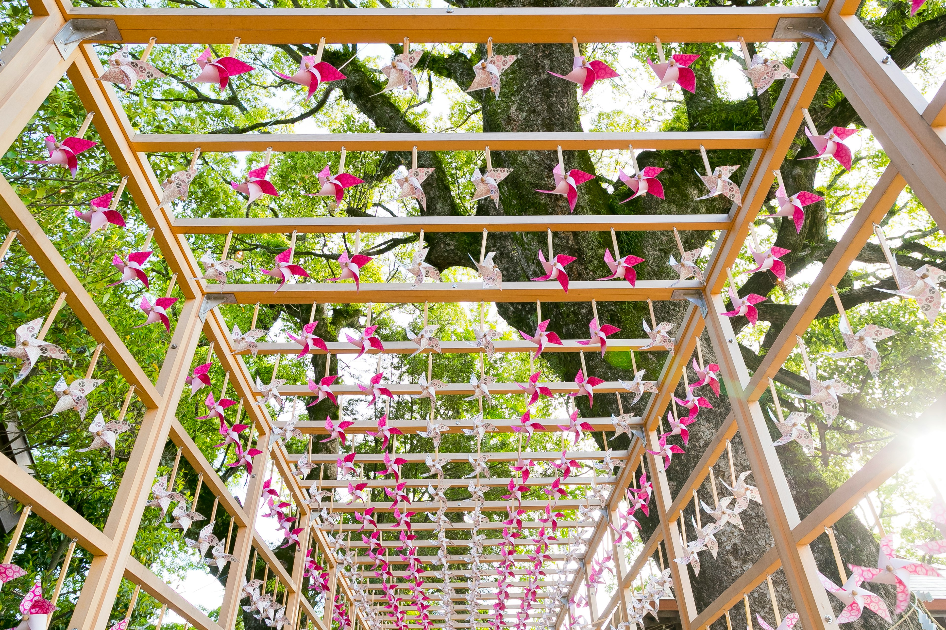 木製のフレームに吊るされたピンクの花の装飾が並ぶ風景