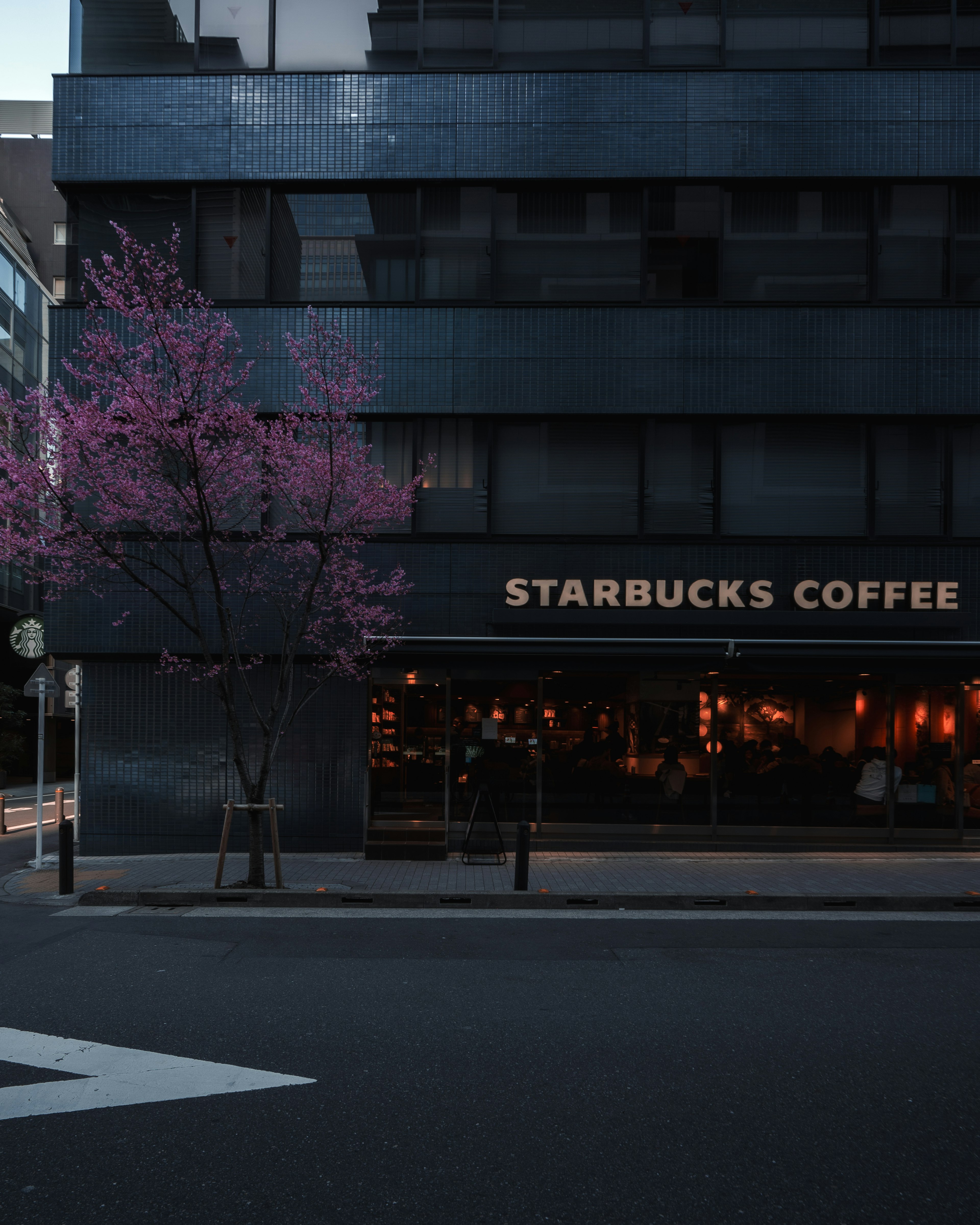 Starbucks Coffee sign with a cherry blossom tree in an urban setting