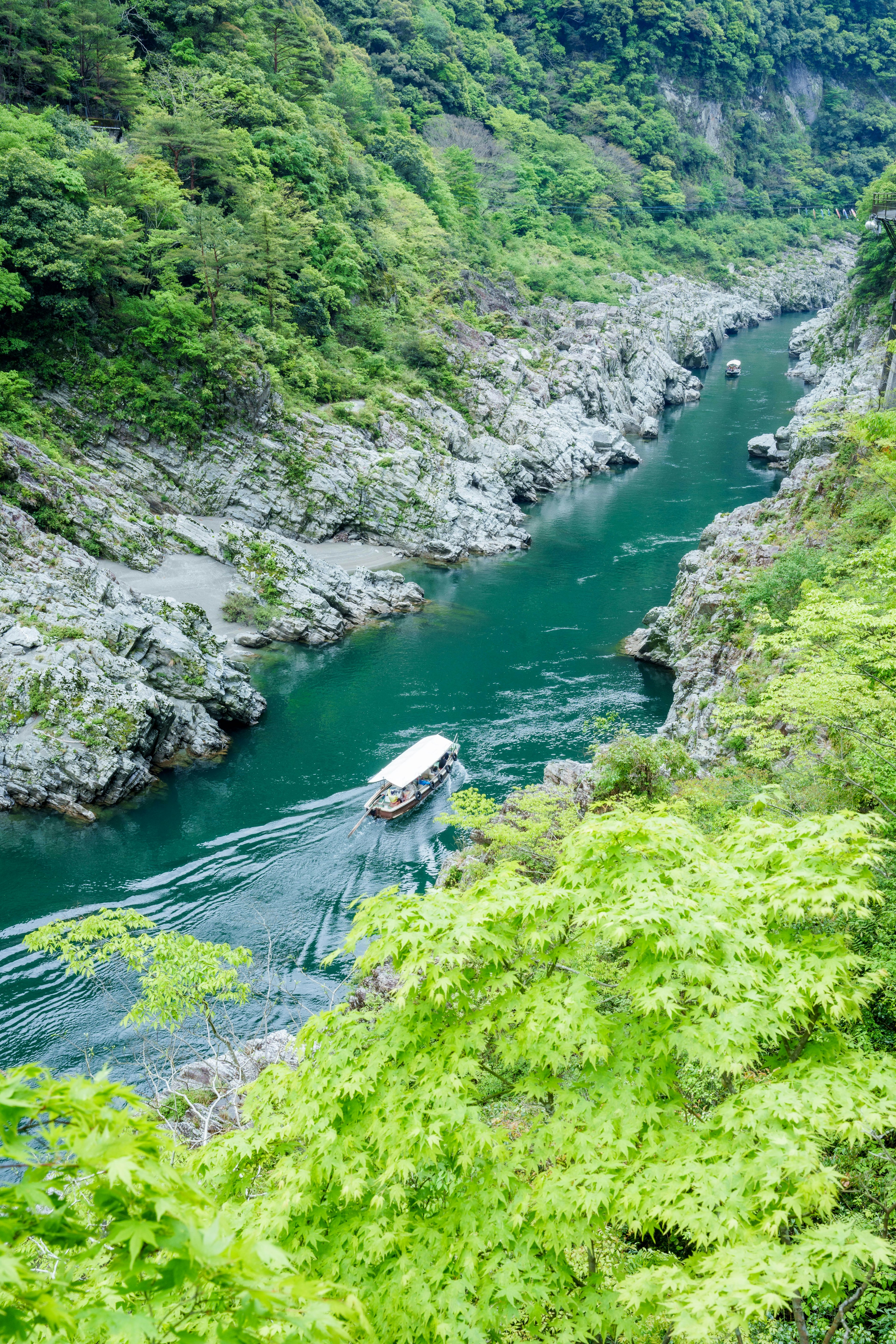 Vista escénica de un río que fluye a través de un valle verde con un pequeño bote