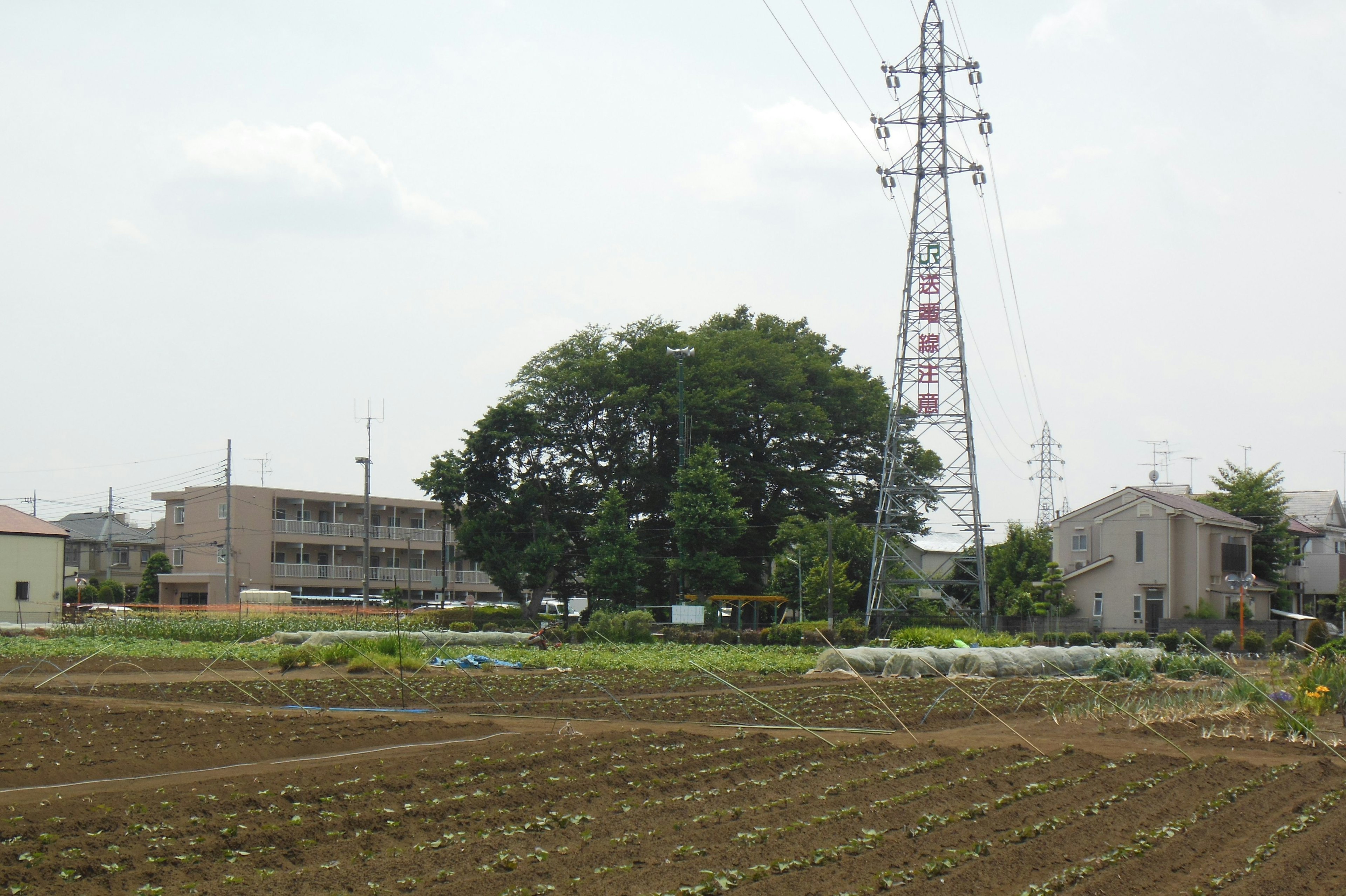 ภูมิทัศน์ที่มีทุ่งกว้างและเสาไฟฟ้าสูงในพื้นหลัง