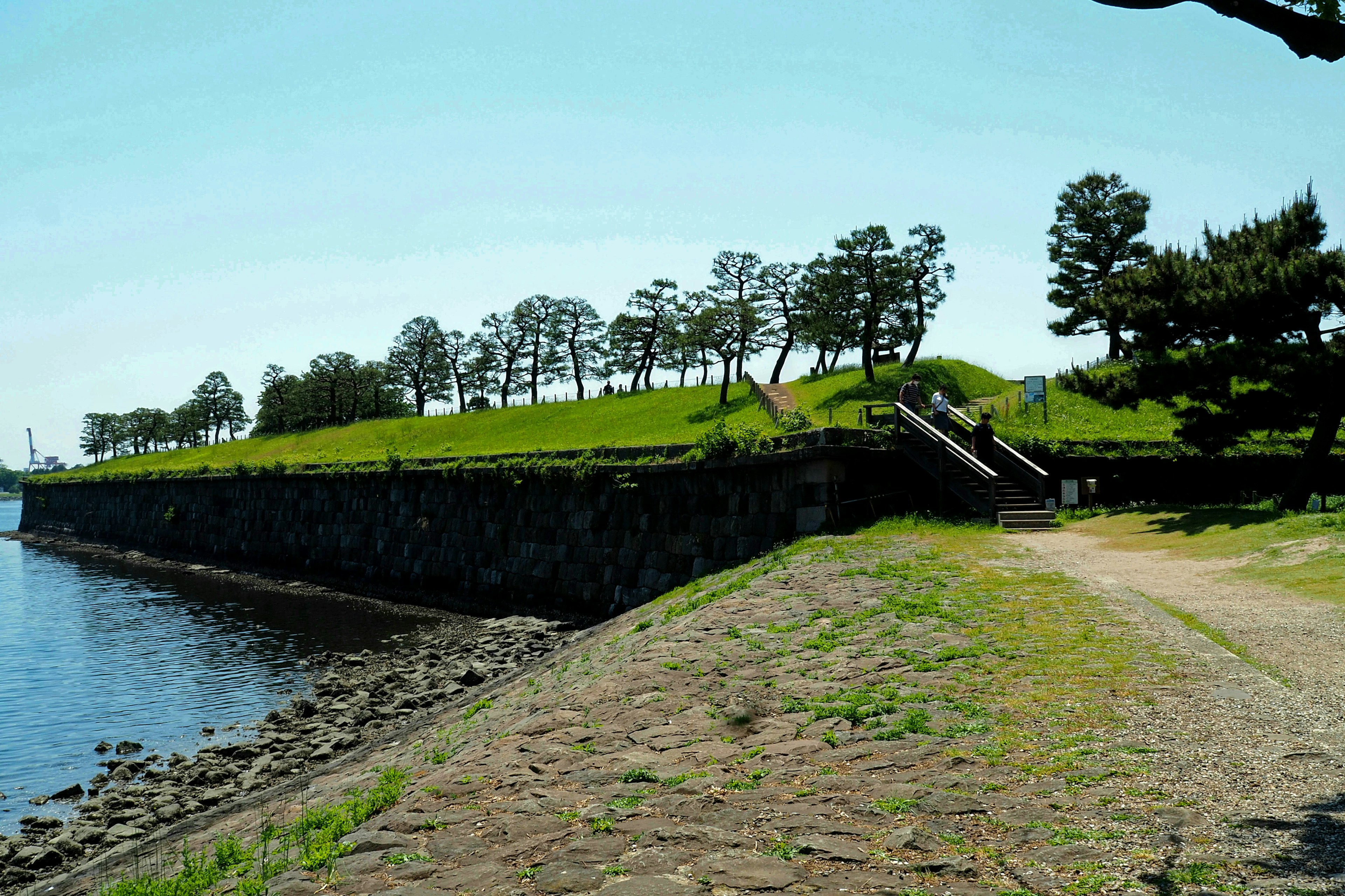 Vista escénica de un parque verde a lo largo de la costa con un dique de piedra