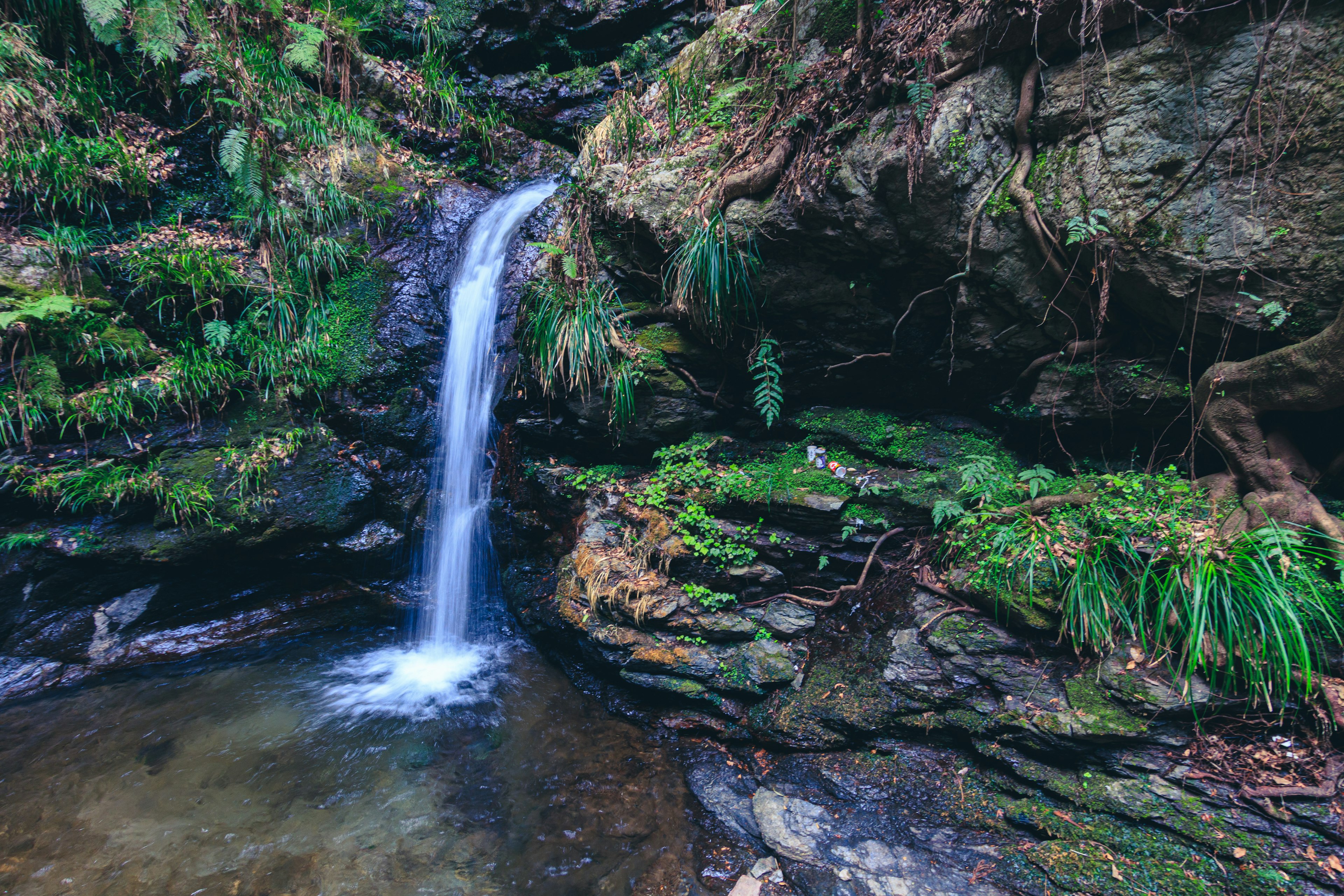 Petite cascade tombant sur des rochers recouverts de mousse dans un cadre verdoyant