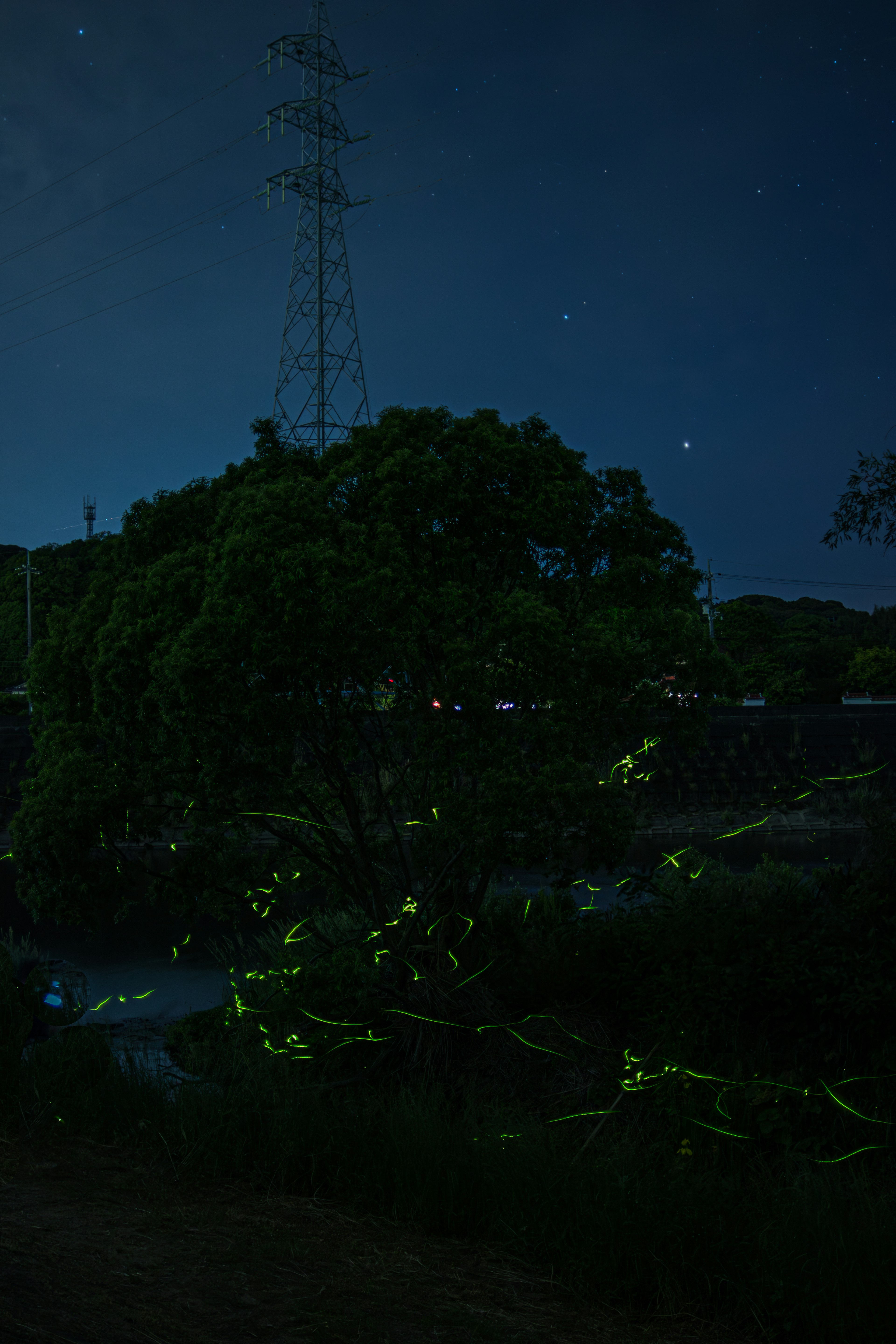 Scène nocturne avec des lucioles brillantes et des arbres