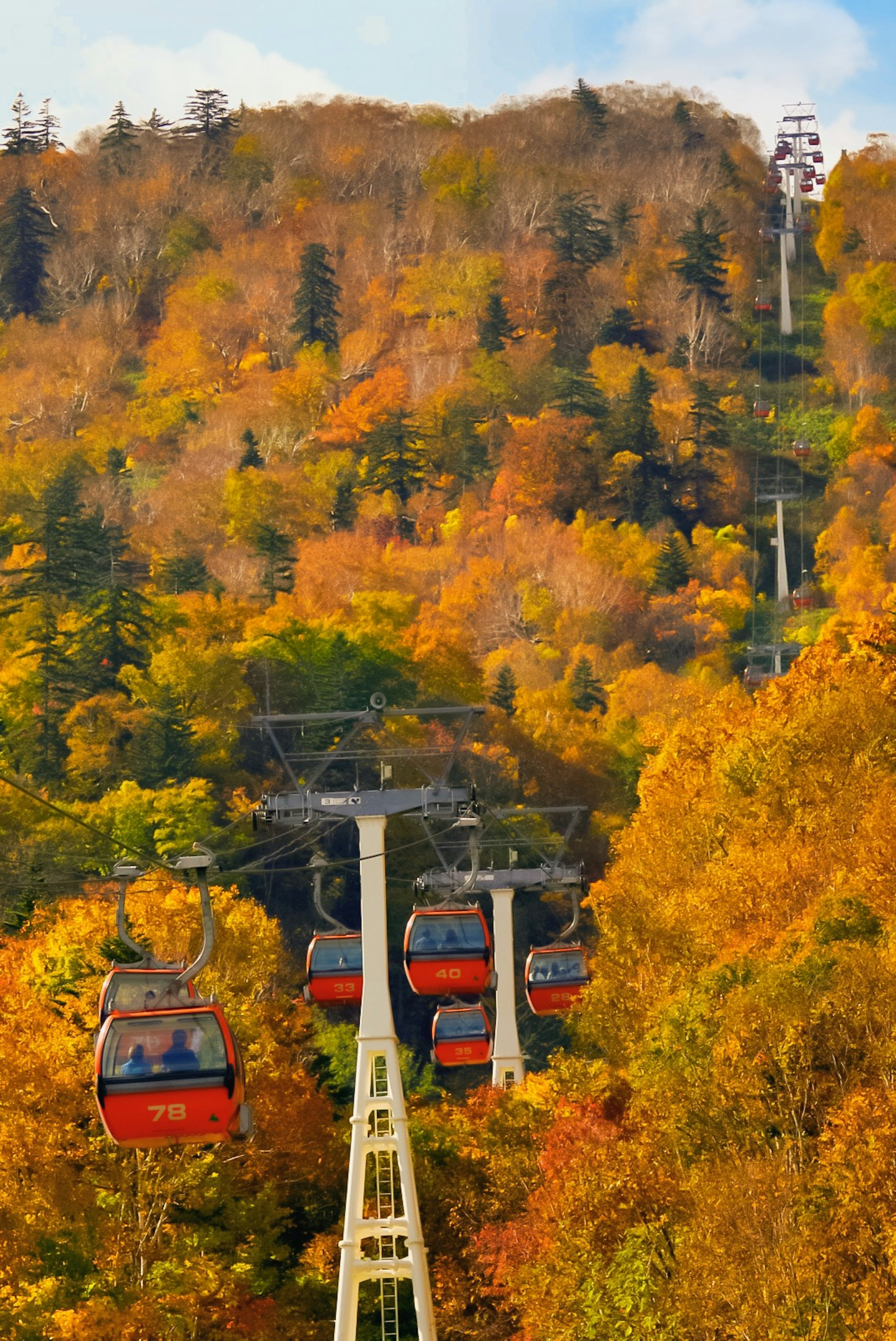 秋の紅葉に囲まれたロープウェイが山を登る風景