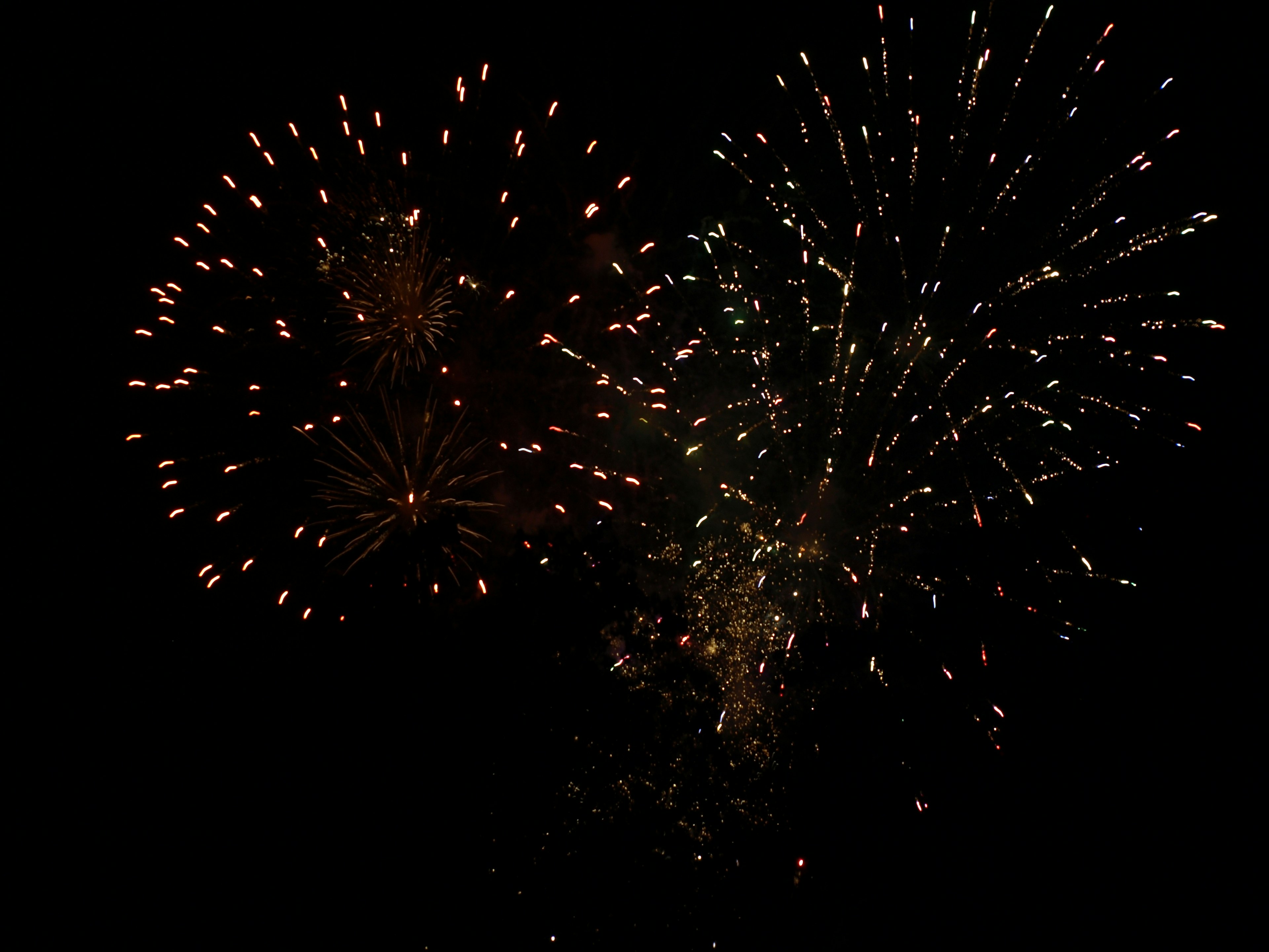 Feux d'artifice éclatant dans le ciel nocturne