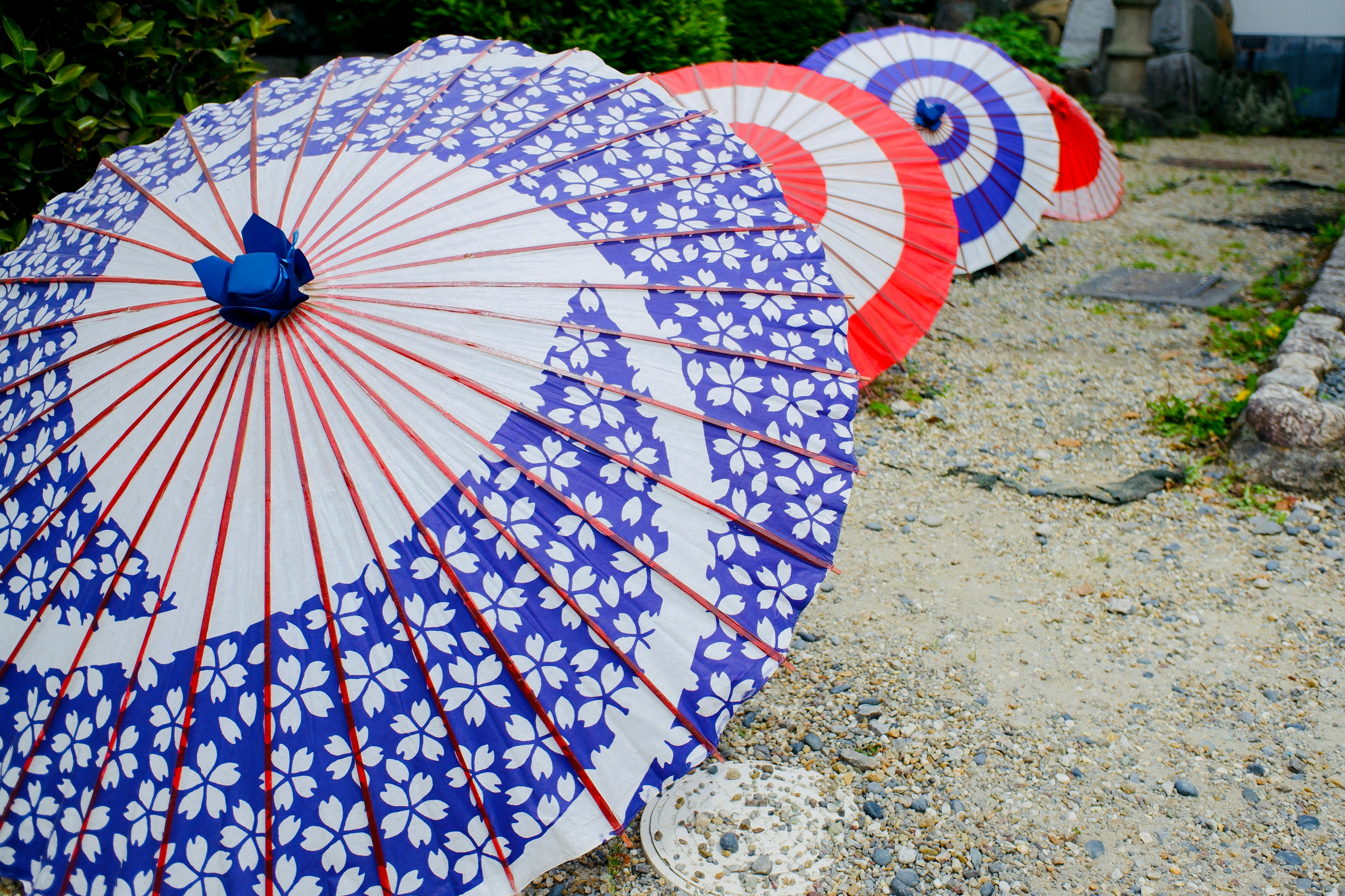 Colorful Japanese umbrellas arranged in a serene outdoor setting