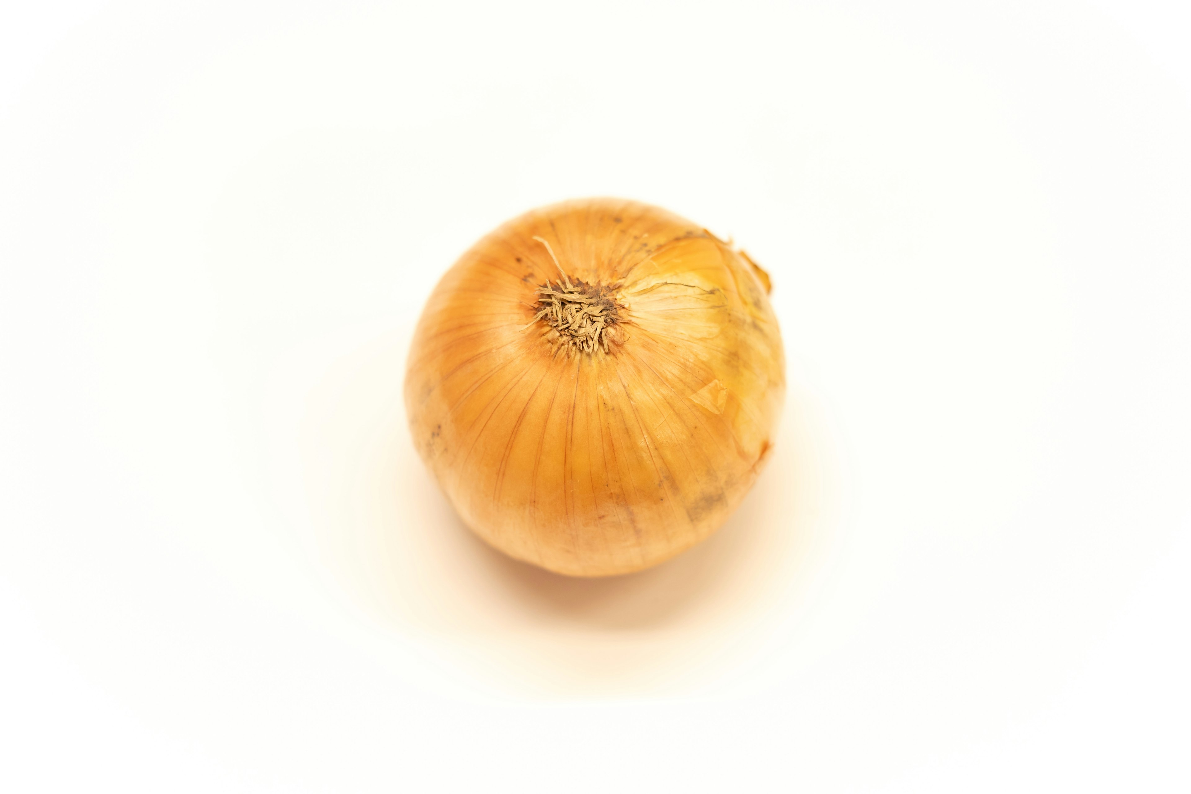 A brown onion placed on a white background