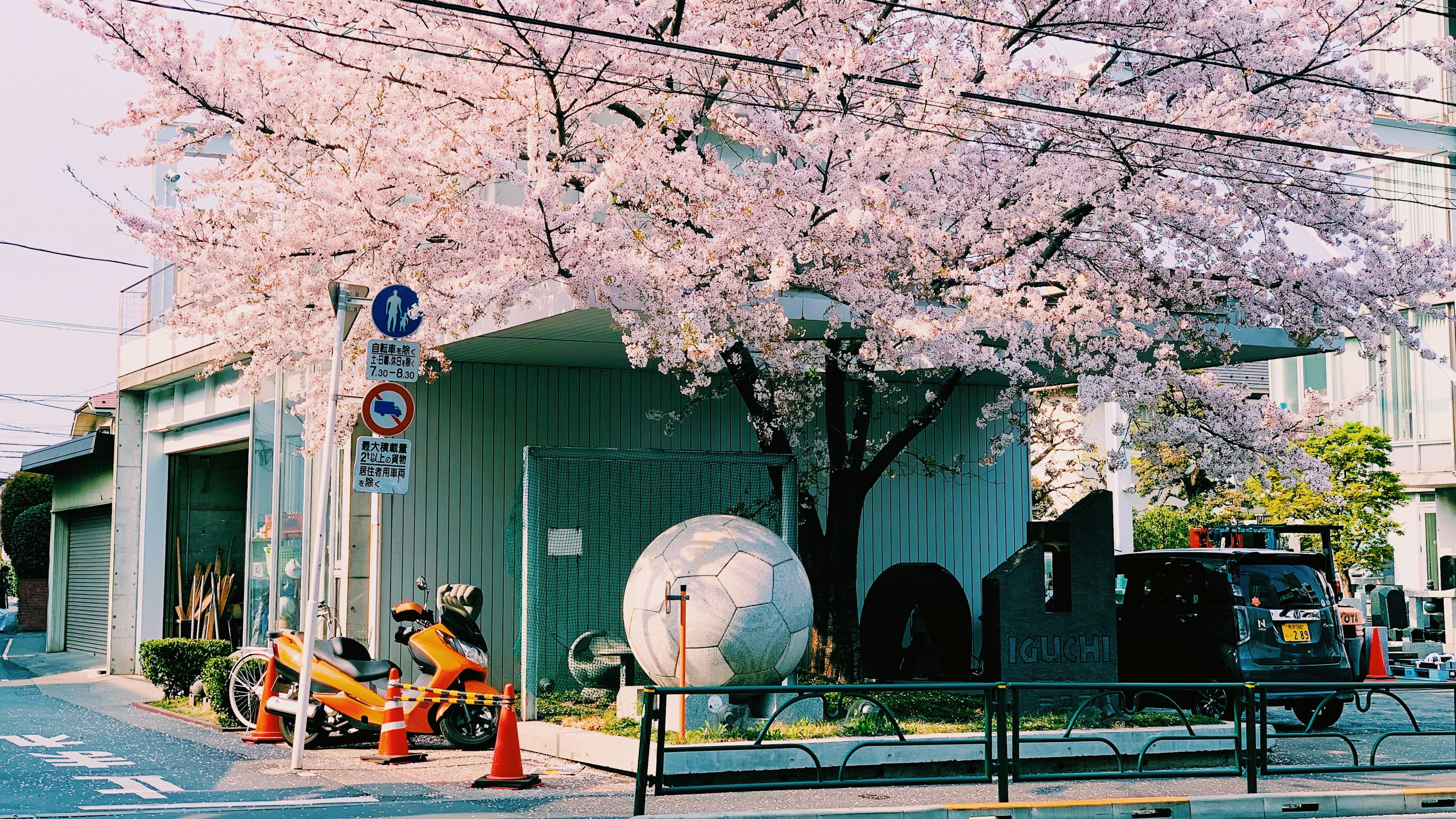 満開の桜の木がある街角の風景