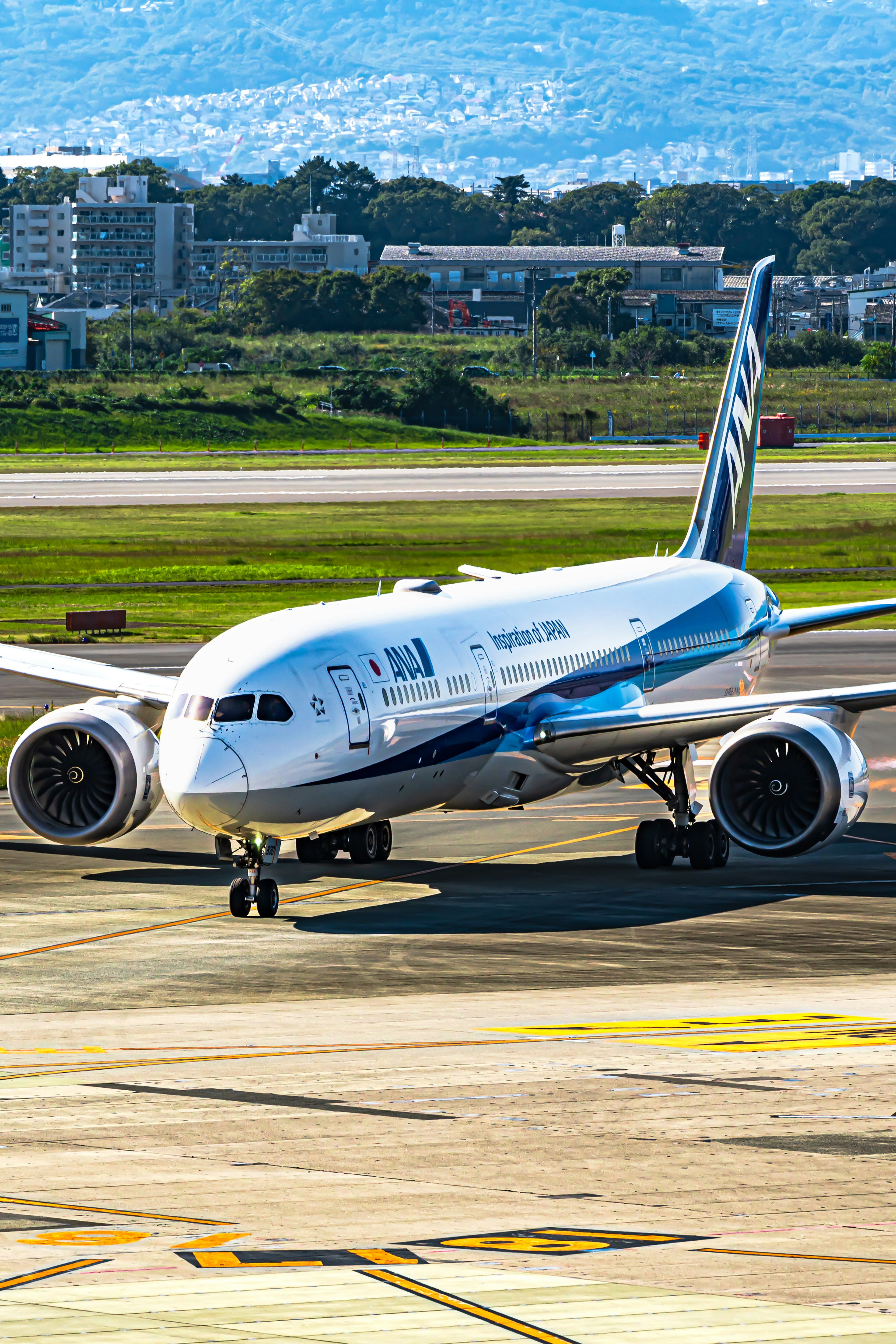 Boeing 787 auf der Landebahn in Blau- und Weißtönen