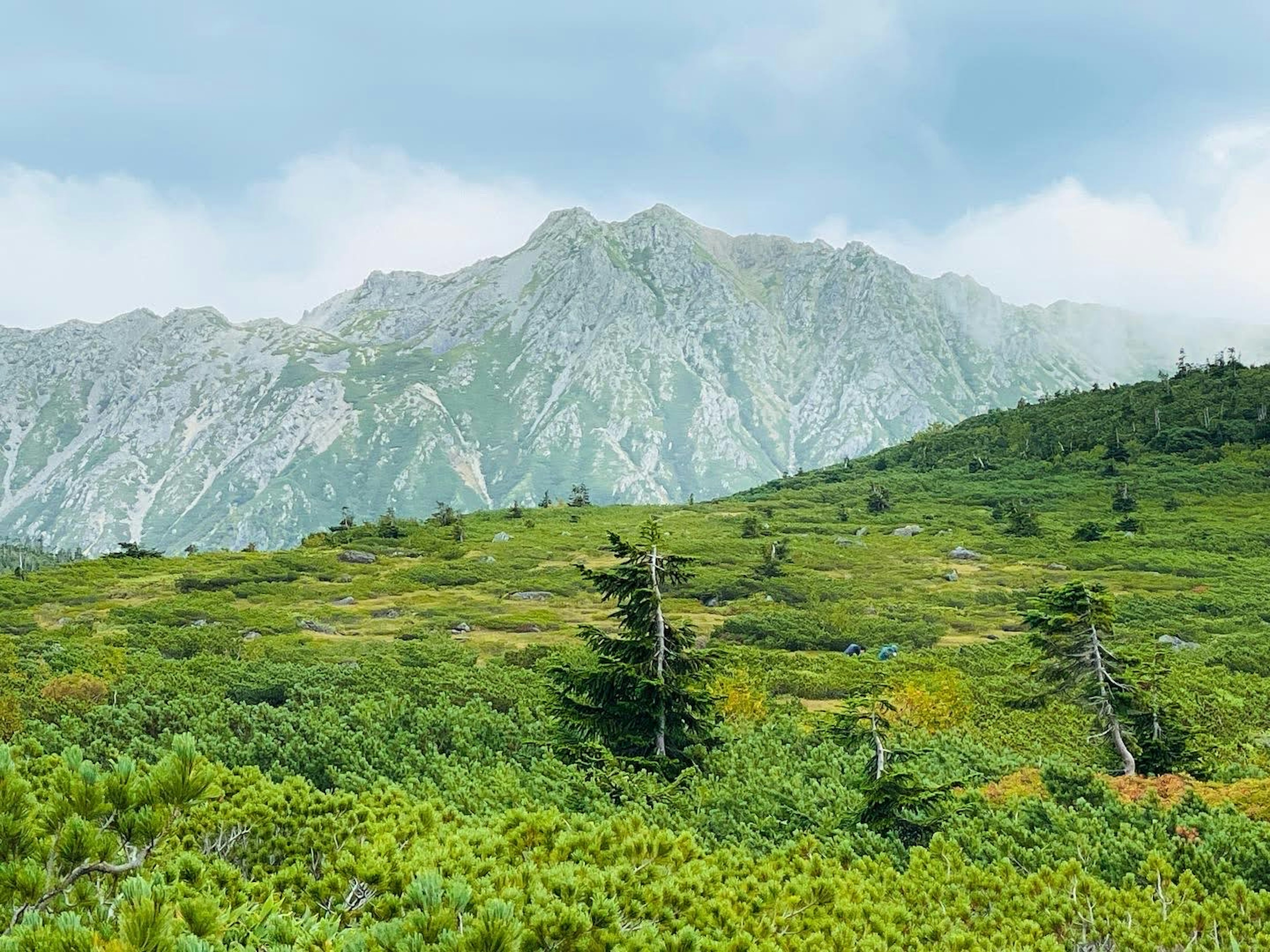 Paysage verdoyant avec des montagnes et un ciel nuageux