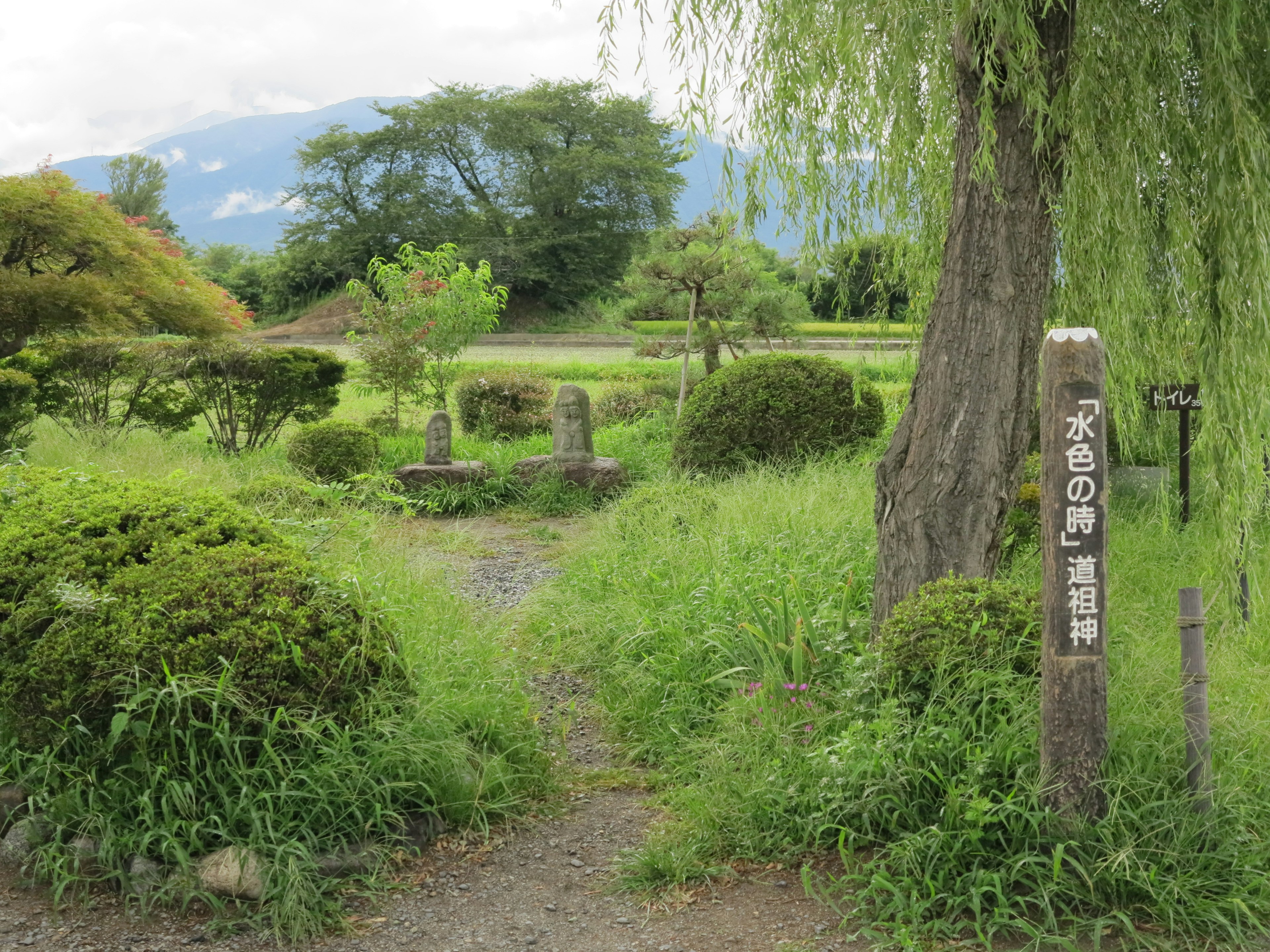 A lush garden pathway with a sign and mountains in the background