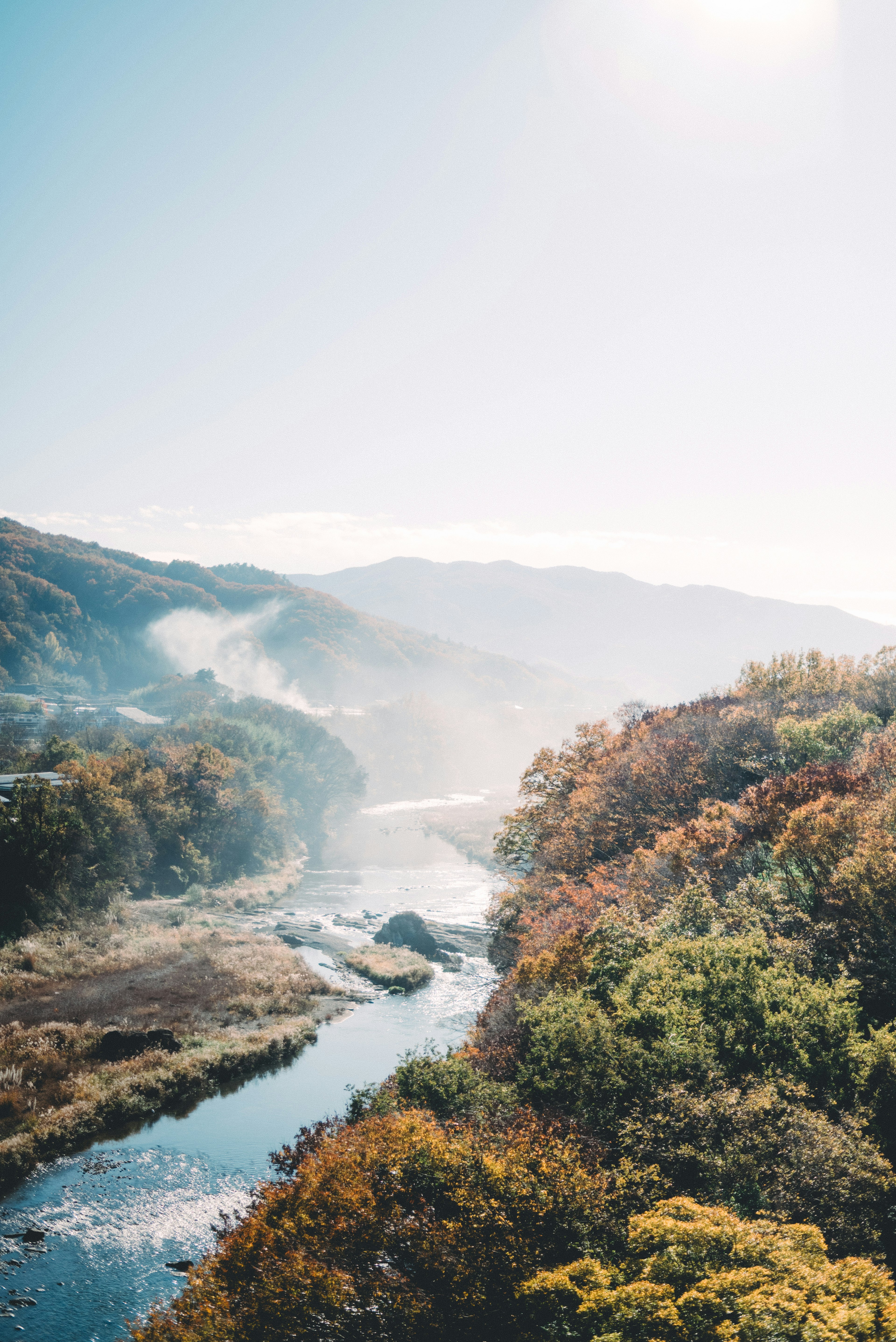 色彩斑斕的樹木沿著河流，背景是山脈的風景