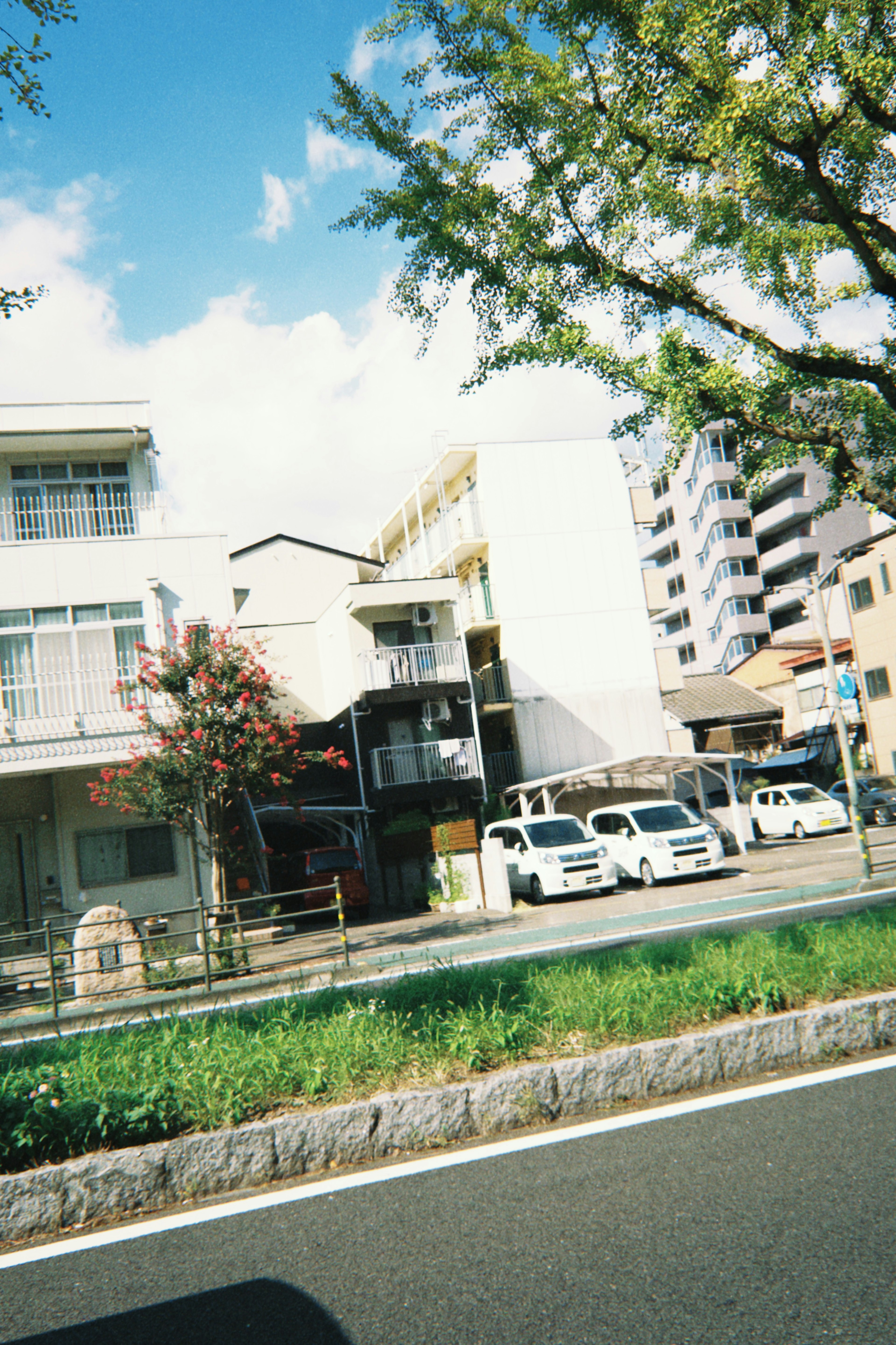 Residential street scene under blue sky featuring cars and green grass